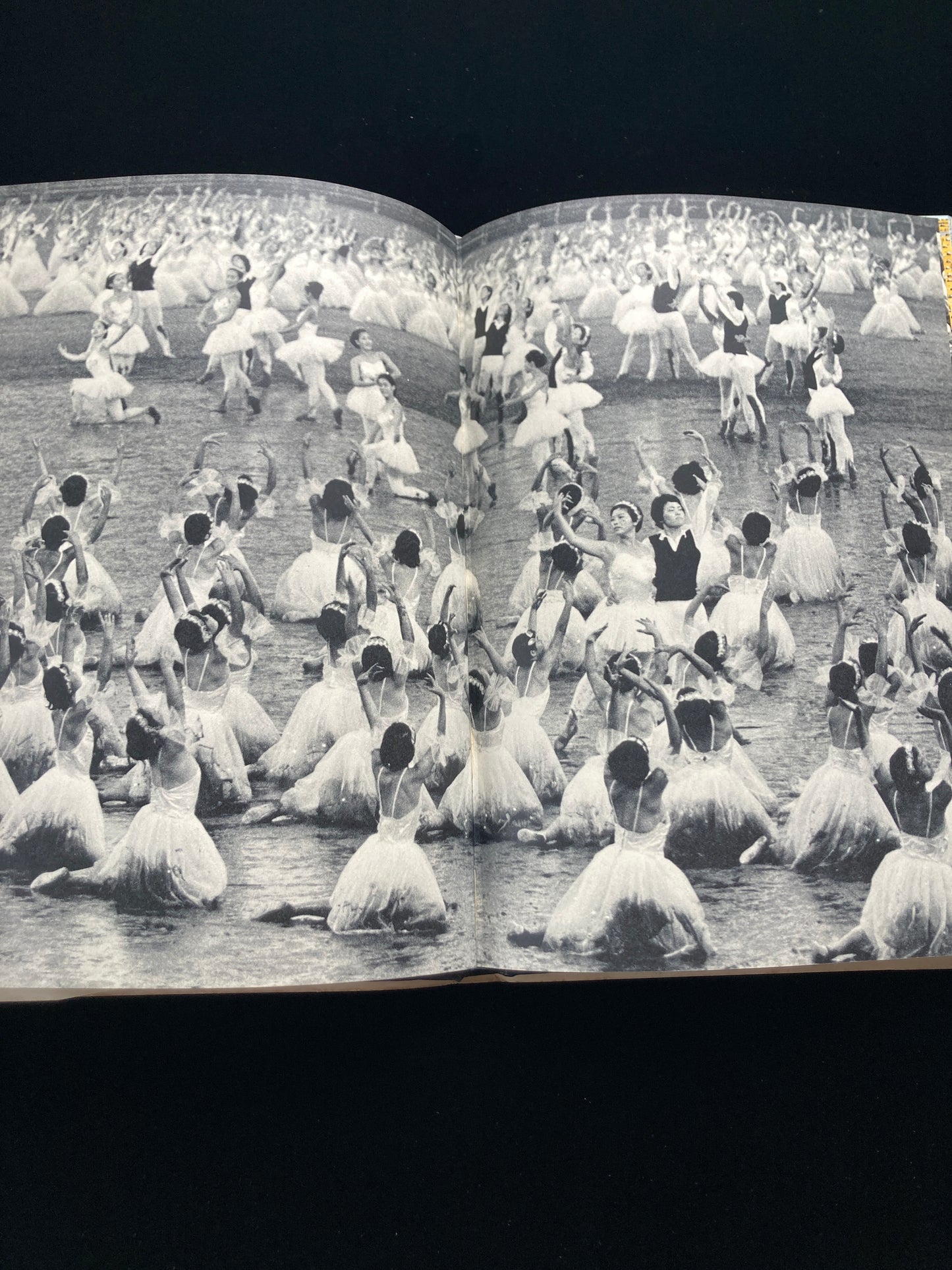 Soka Gakkai : Photographic Creation Society