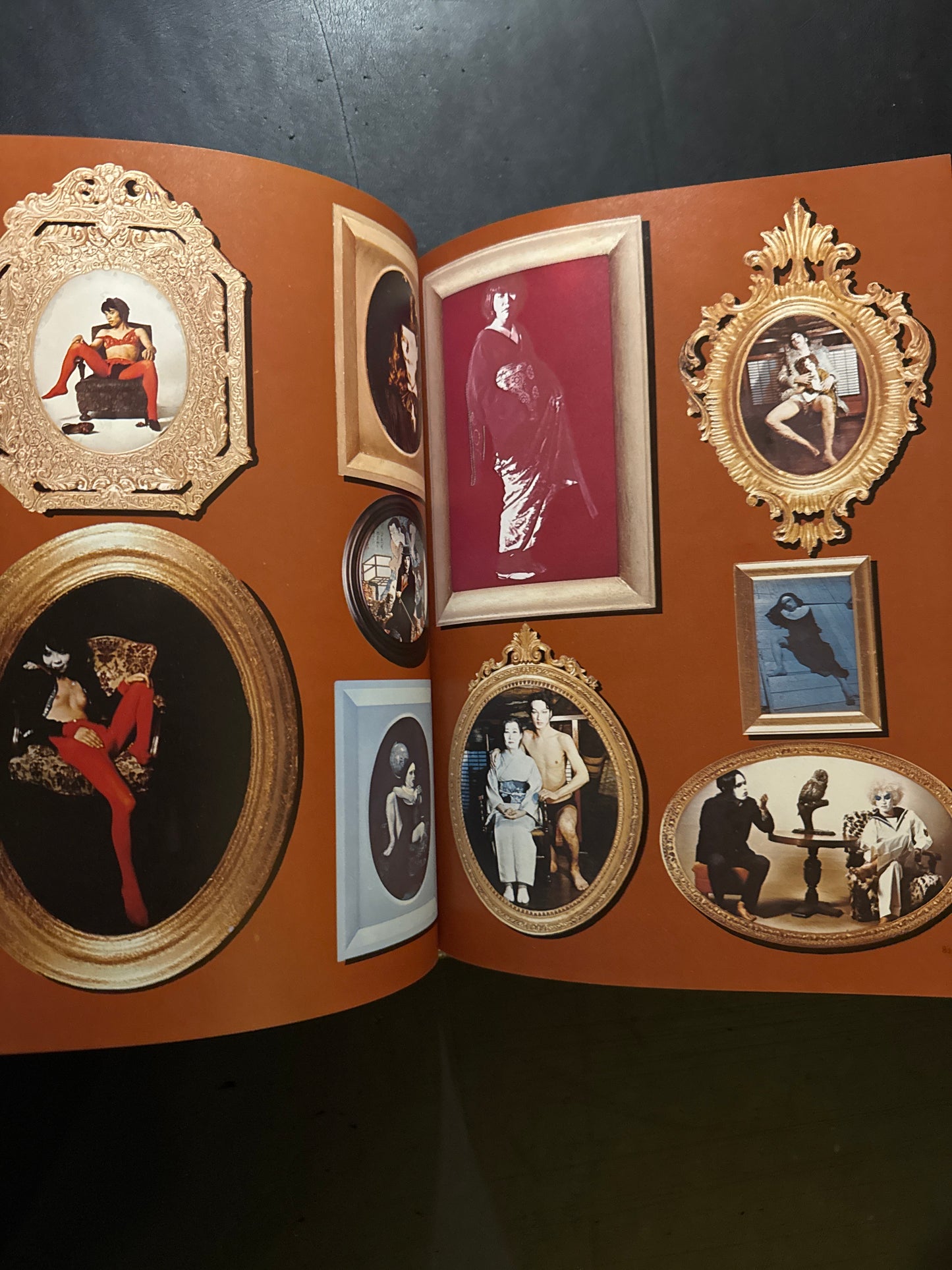 photo theque imaginaire de Shuji Terayama Les gems de la famille Chien Dieu