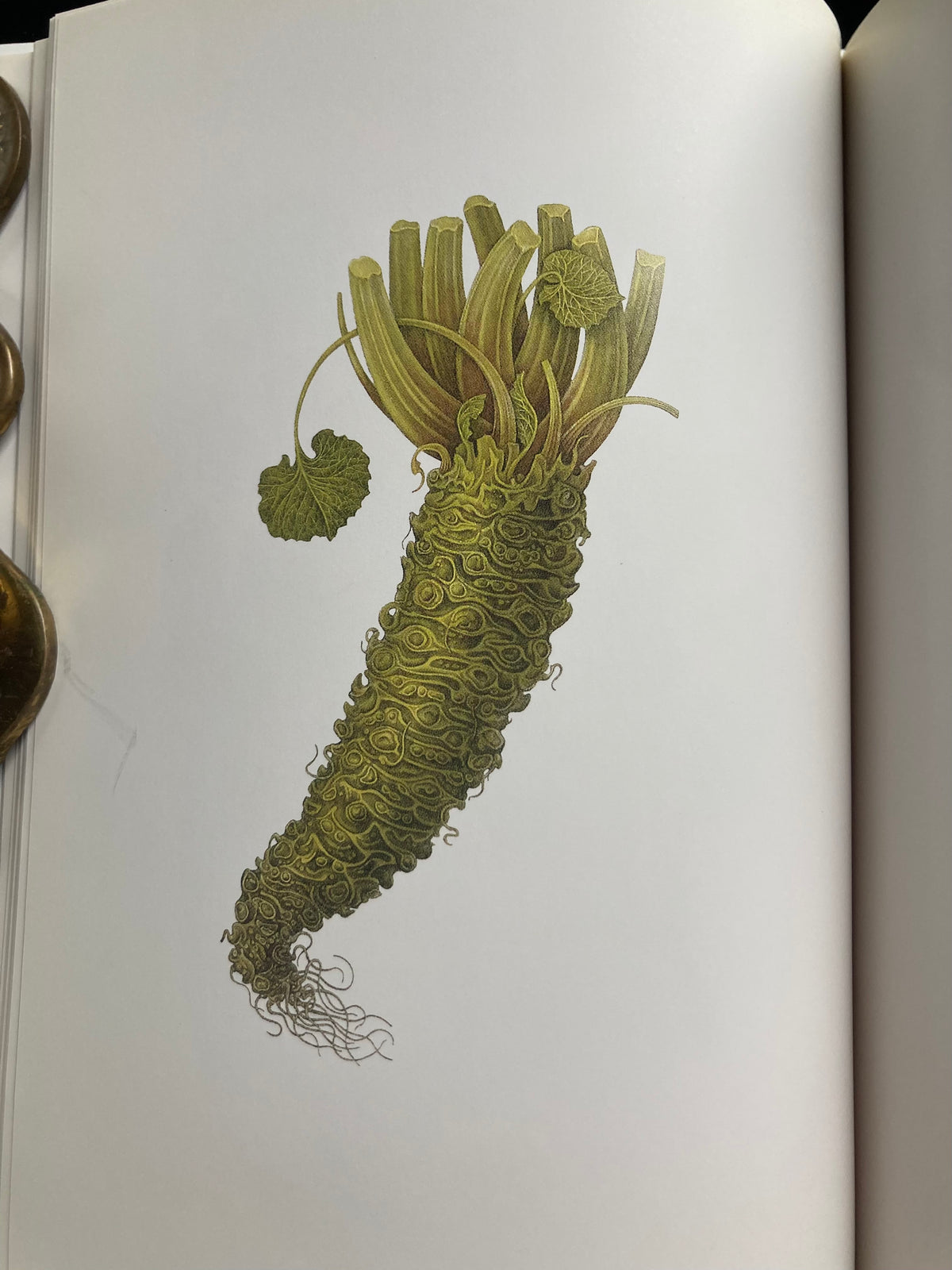 Tadashi Ohara(World Graphic Design 28)