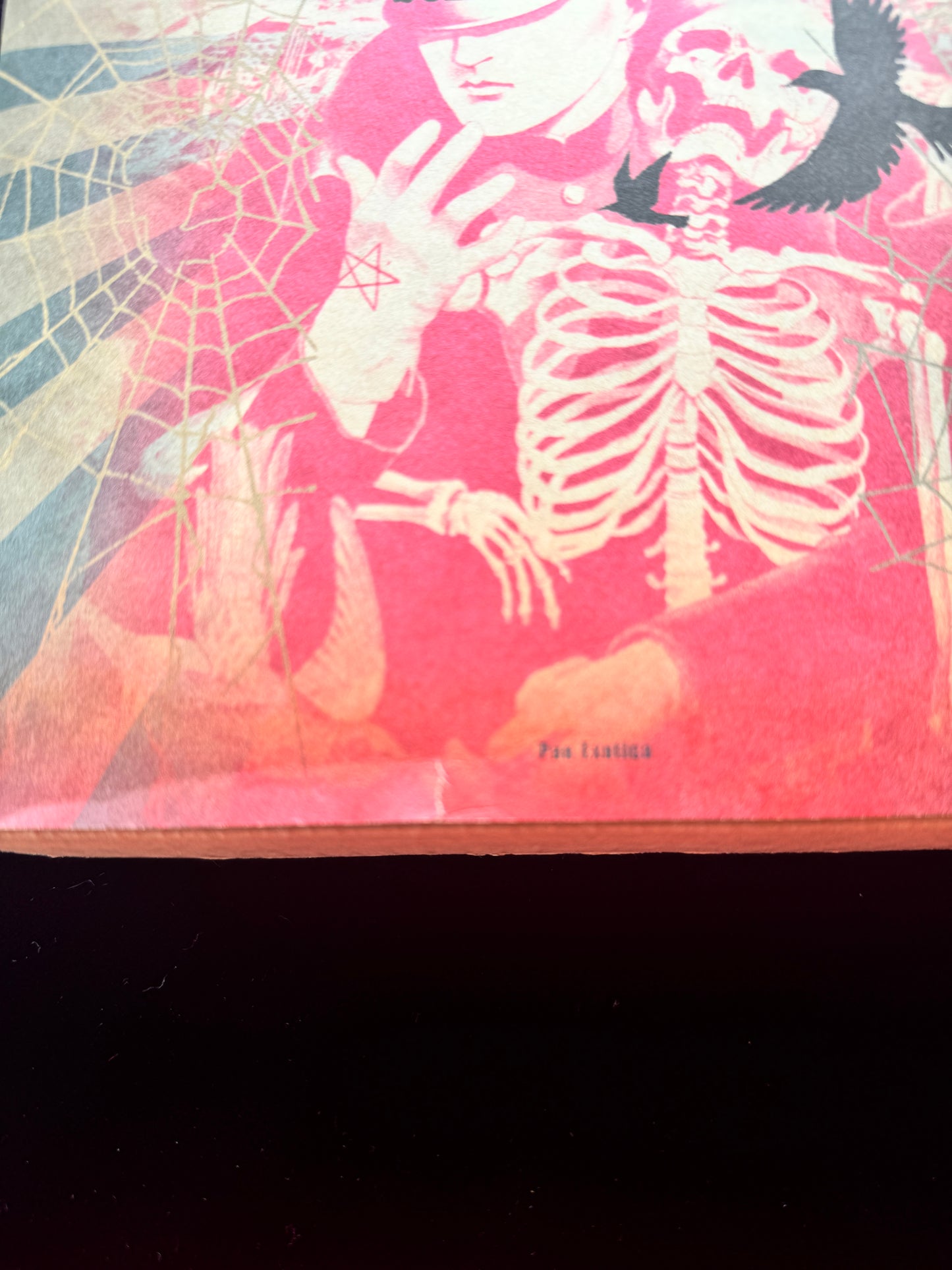 MARUO GRAPH DX grandiso (Limited to 300 copies)