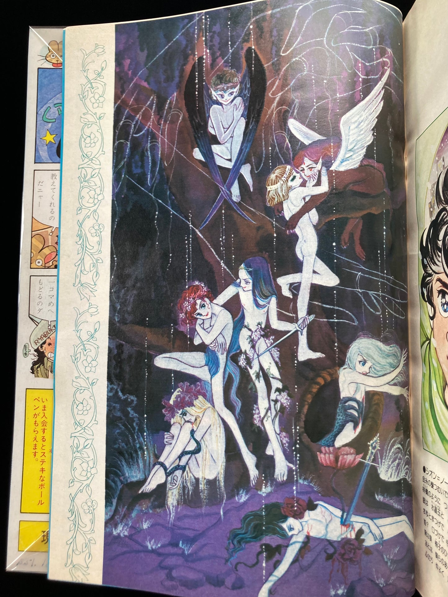 "Flower Deluxe" Keiko Takemiya illustration book
