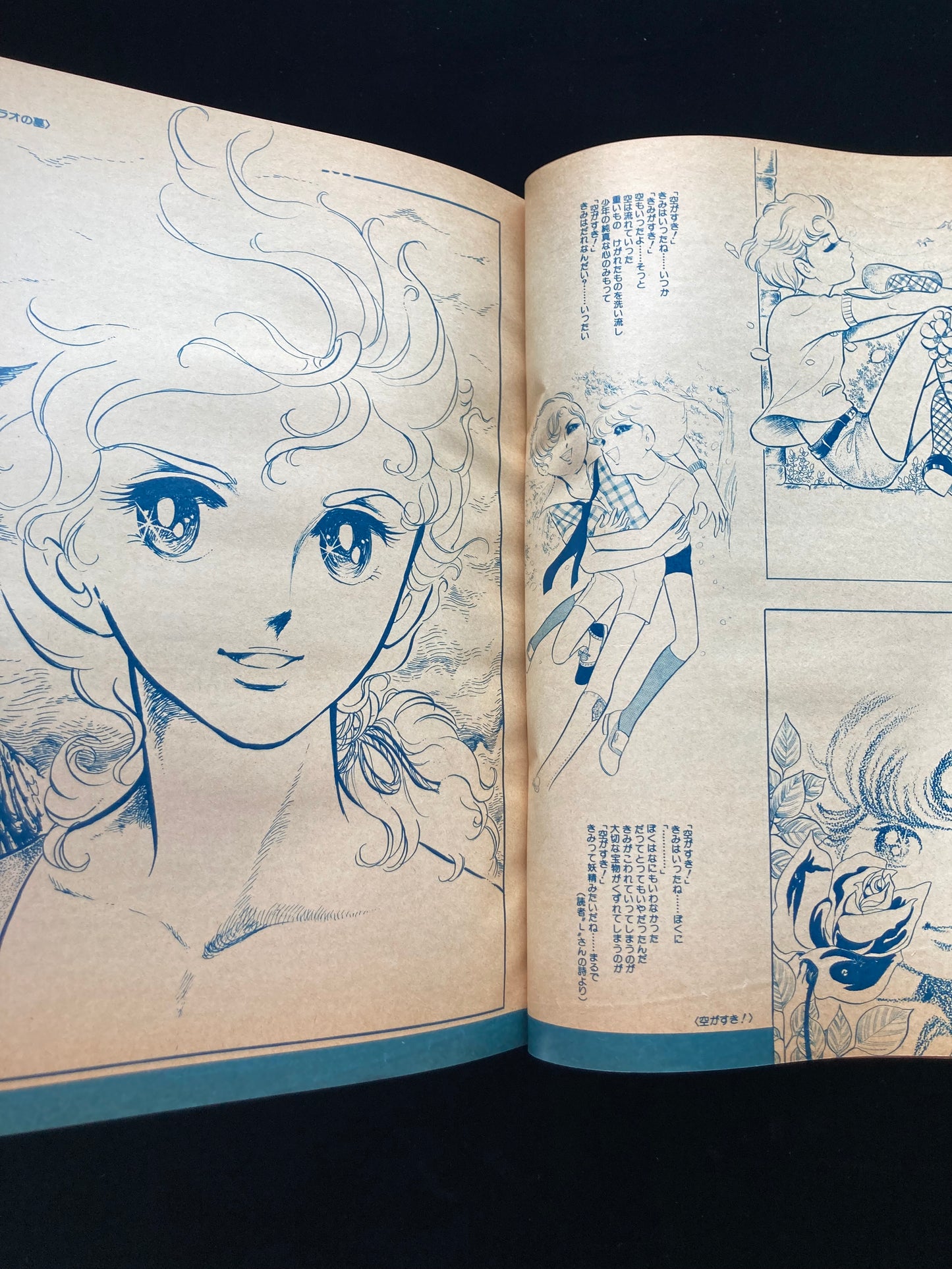 "Flower Deluxe" Keiko Takemiya illustration book