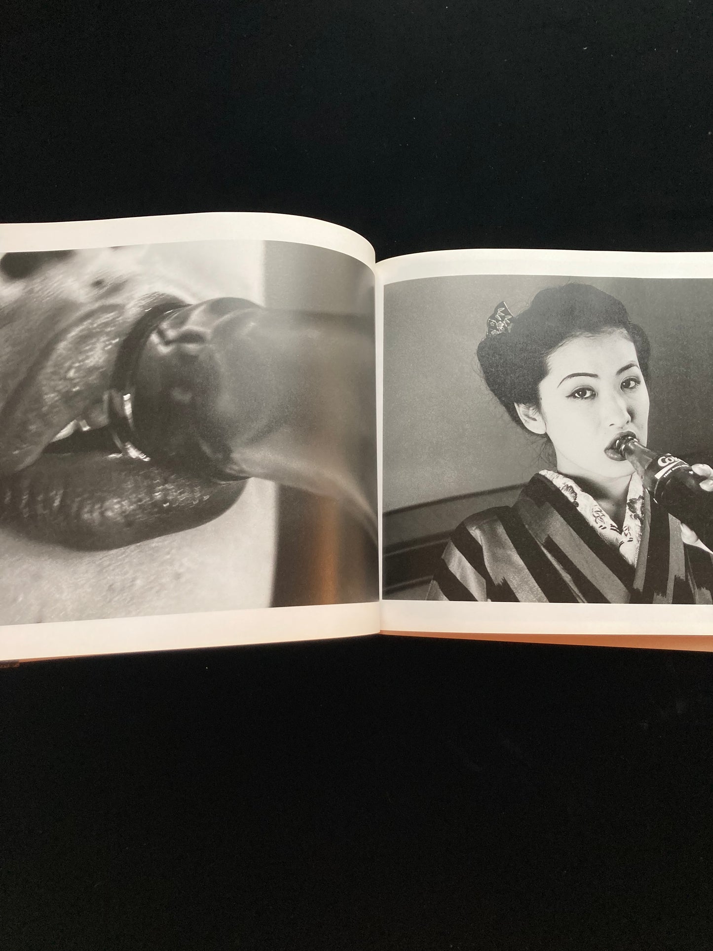 "Sawa" Nobuyoshi Aqaki CINEPHOTOGRAPH