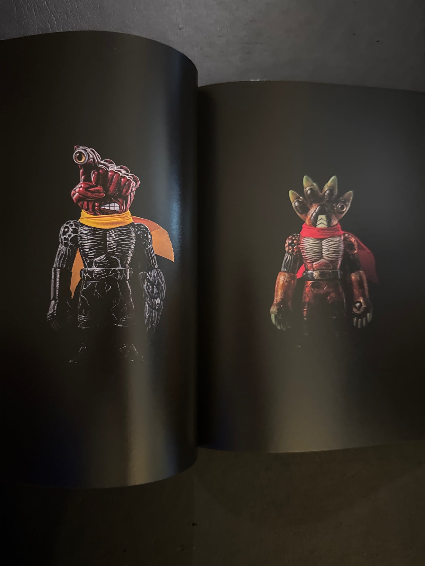 Real Head Photography