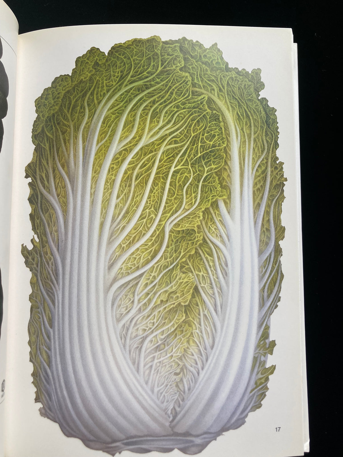 Tadashi Ohara(World Graphic Design 28)