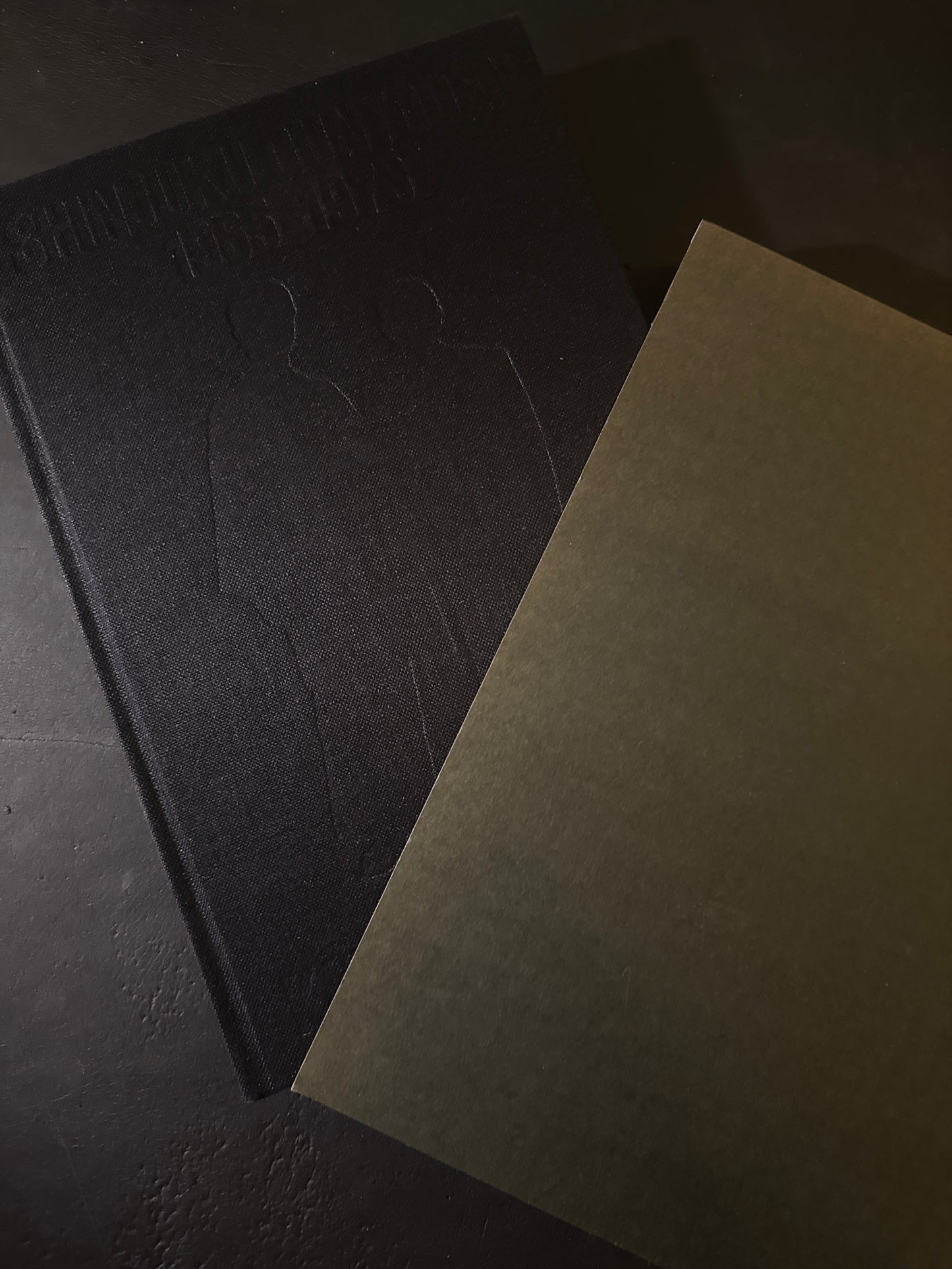 SHINJUKU GUNTODEN 1965-1973 (Limited 500copies)