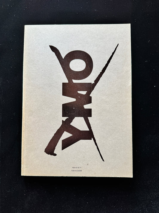 YMO 1993 6.10•11 TOKYO DOME