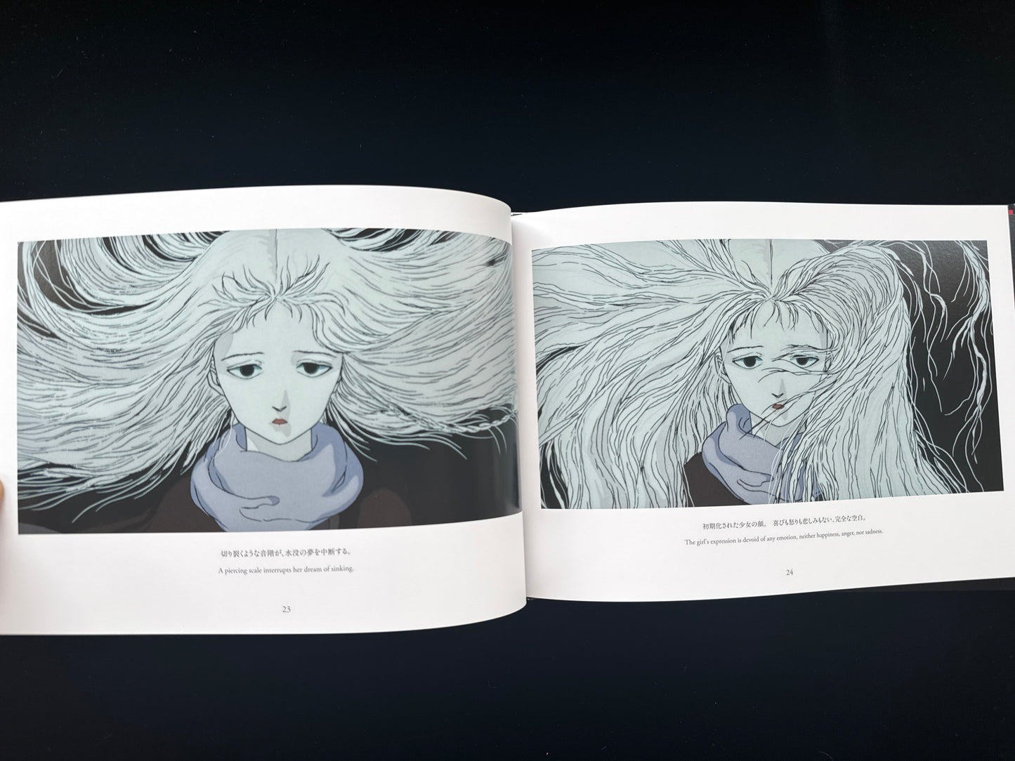 Angel's Egg THE VISUAL COLLECTION