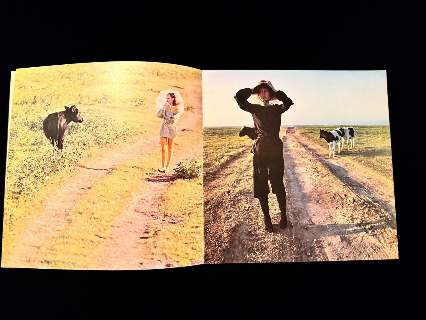 PHOTO POEM