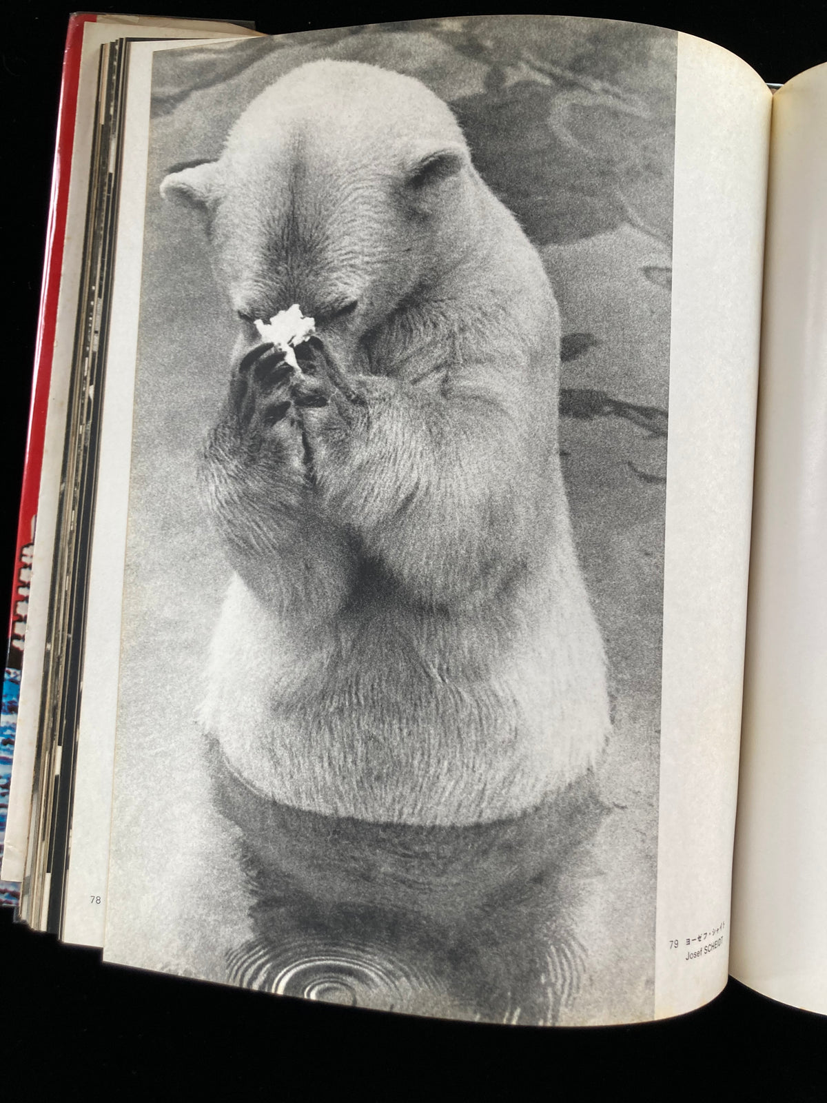 photography of the world '70