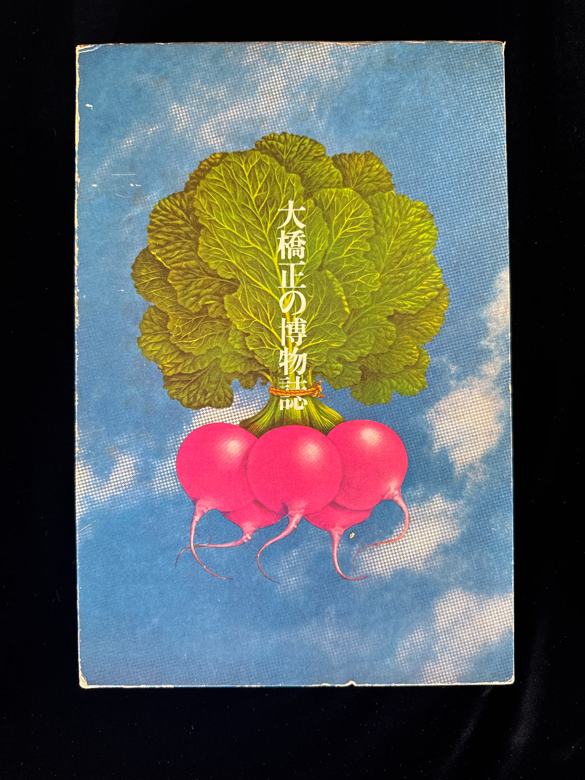 Tadashi Ohashi's Natural History
