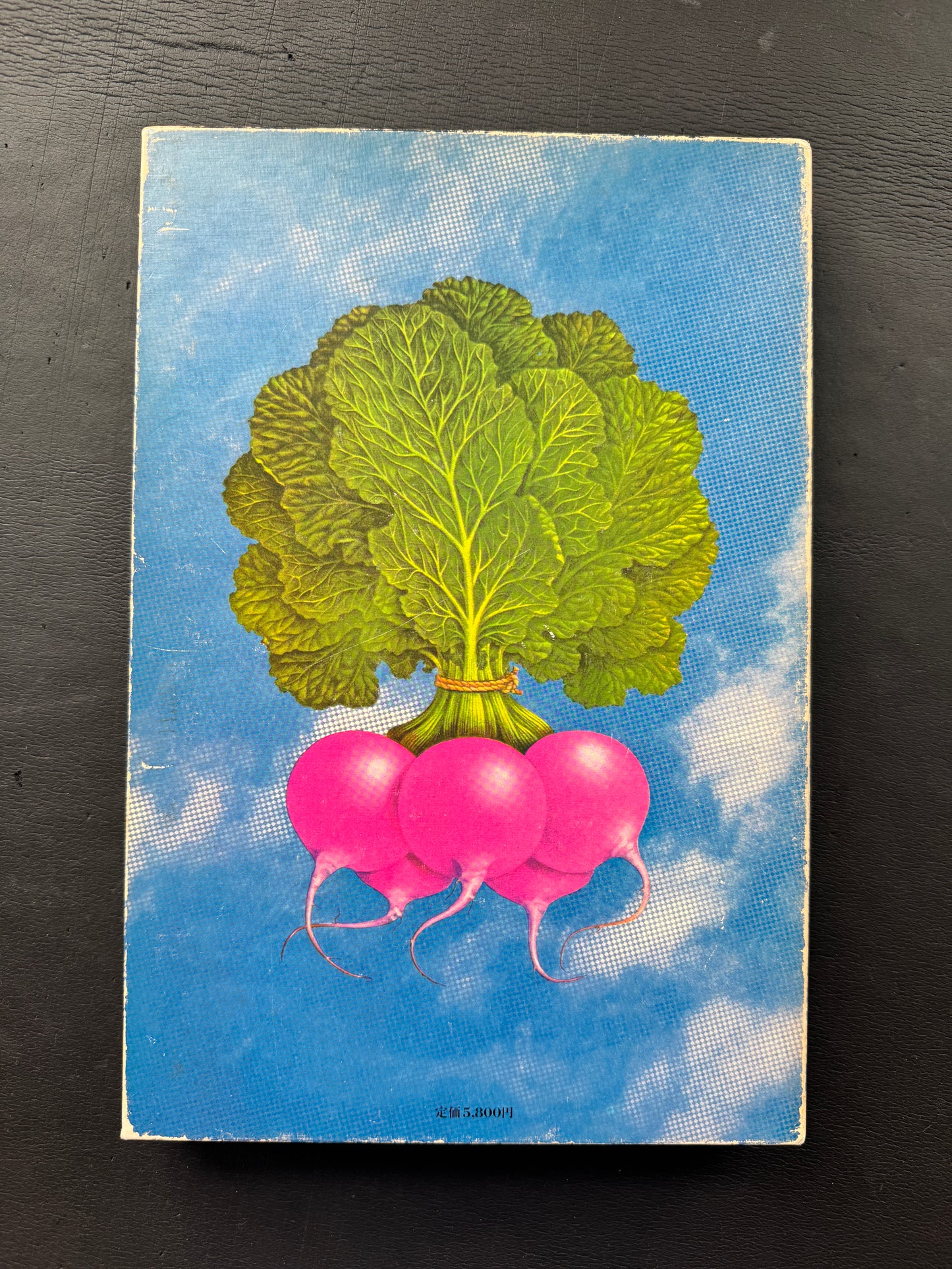 Tadashi Ohashi's Natural History