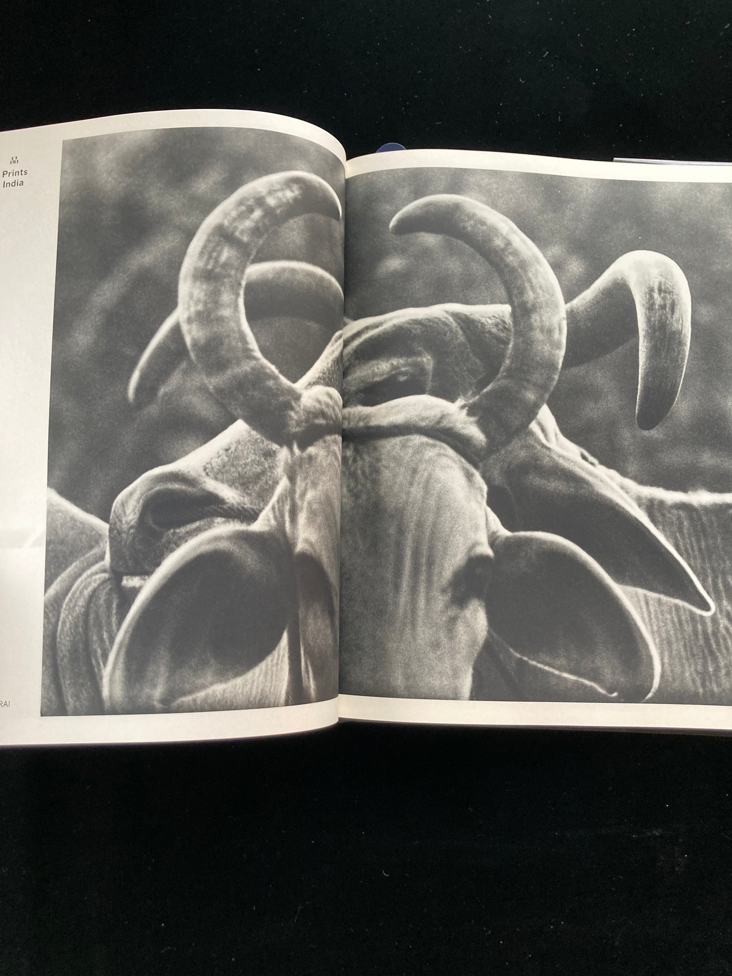 photography of the world '66