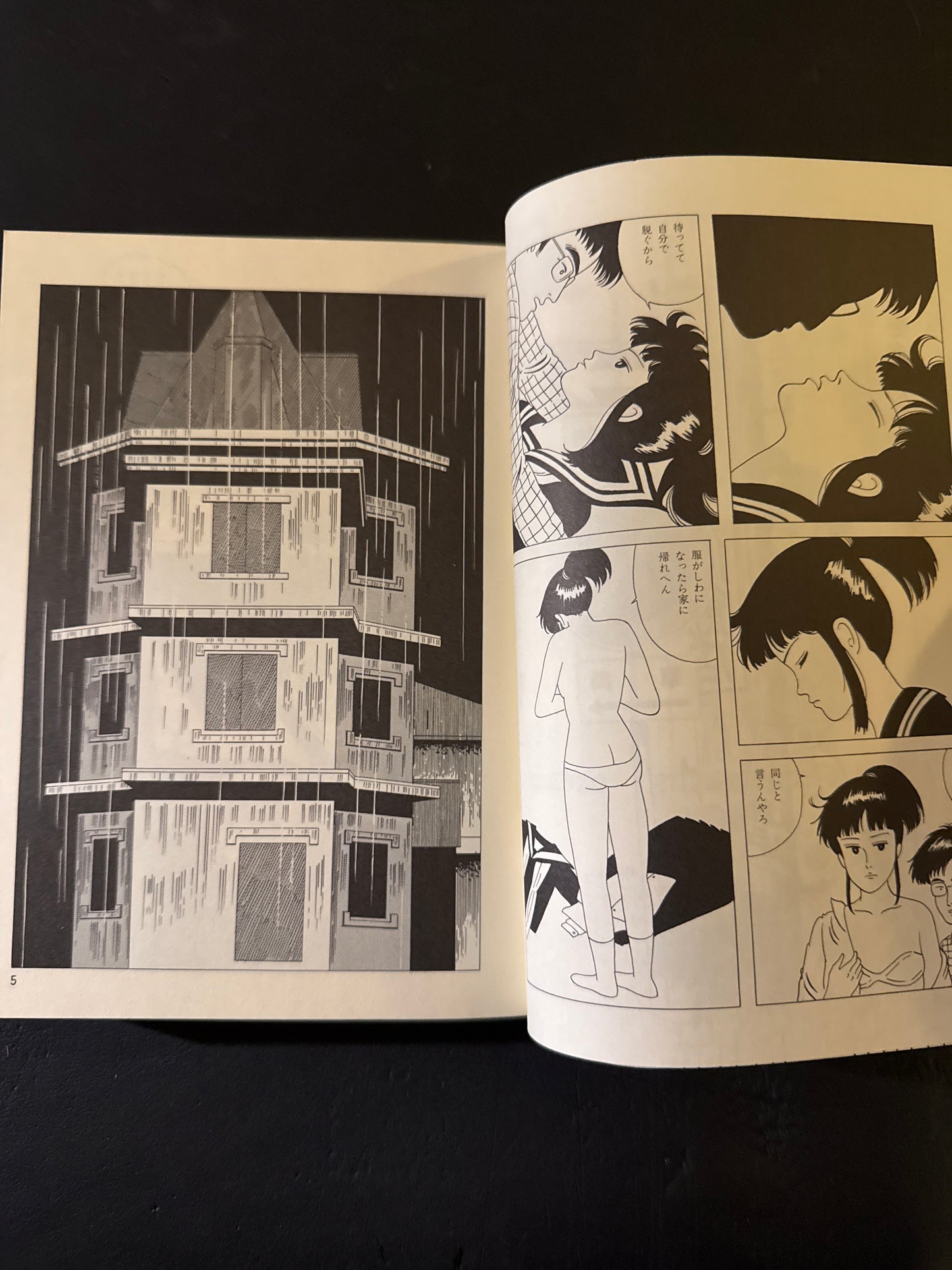 Thoughts on the Chocolate Sphinx