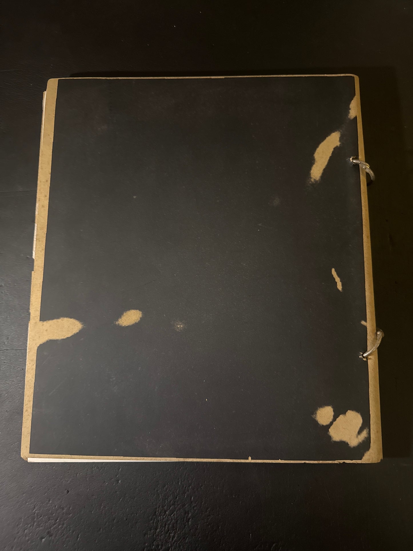 ALBERTA FERRETTI - FOTO PAOLO ROVERSI-SETTEMBRE 1999