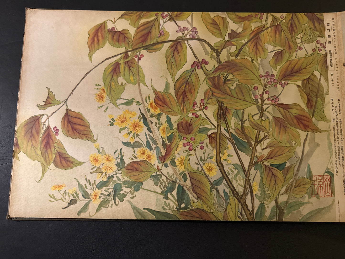 Hyakka: An Illustrated Collection of a Hundred Flowers