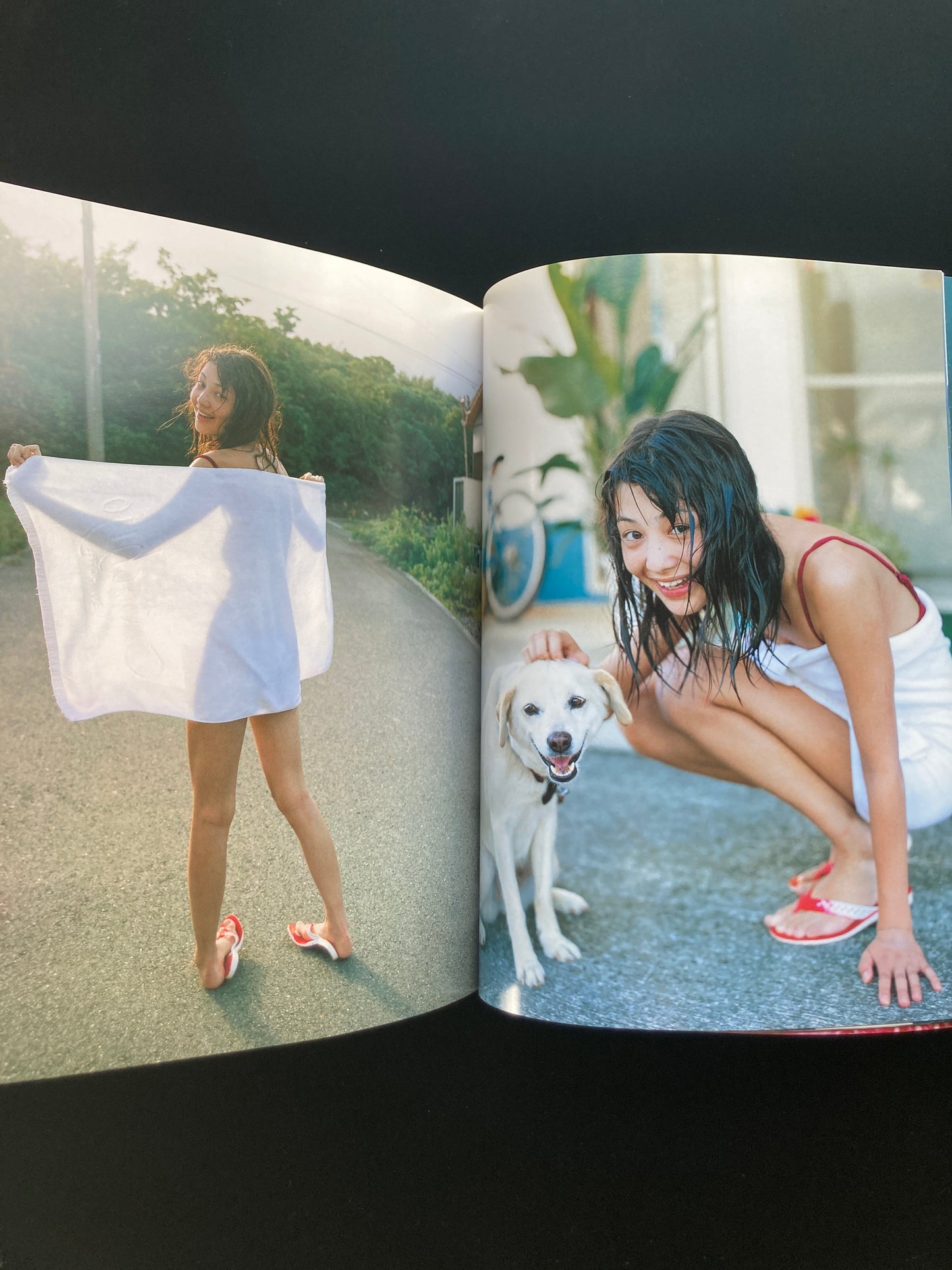 The sun and honey MARIKO TAKAHASHI