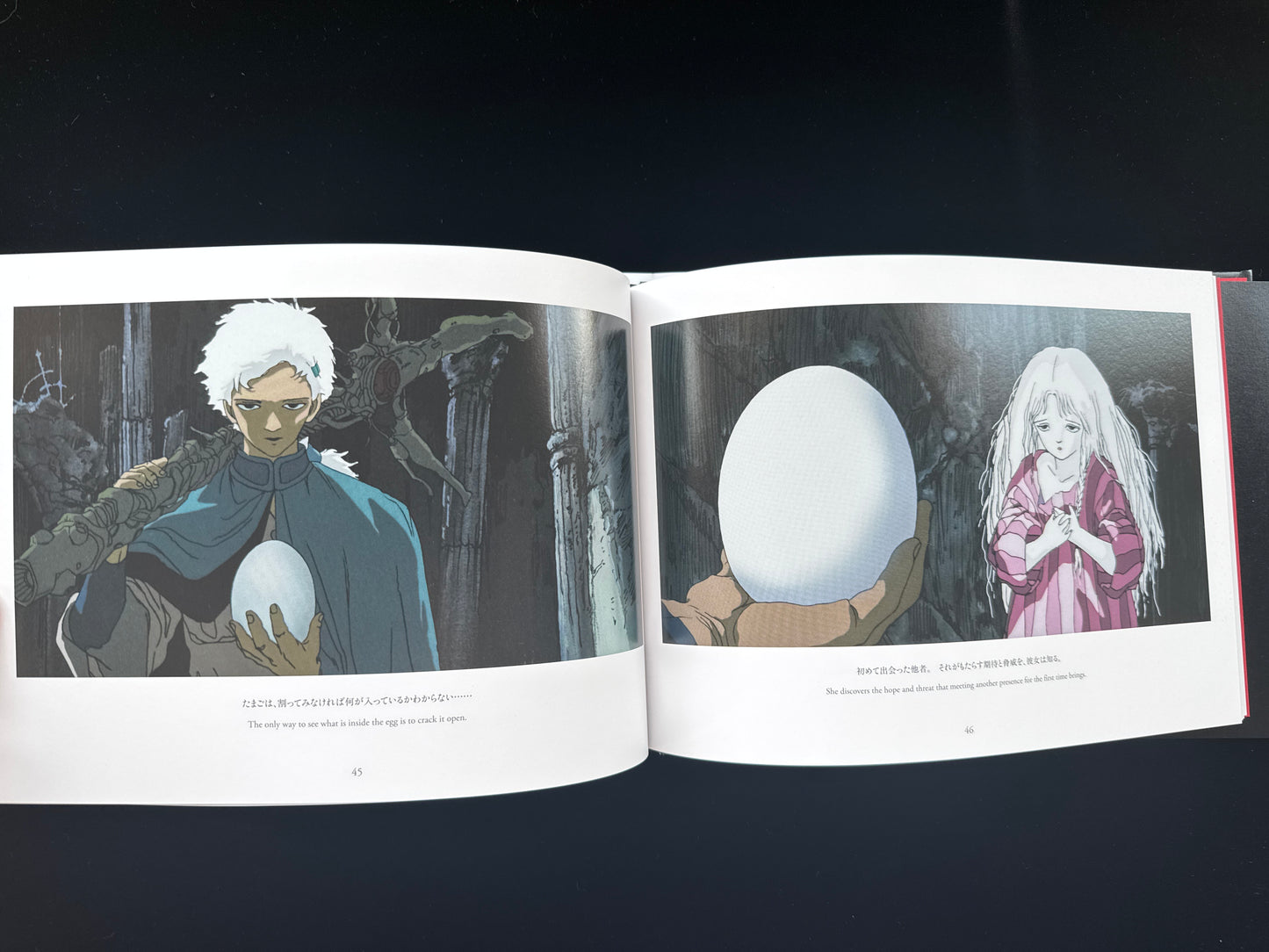 Angel's Egg THE VISUAL COLLECTION