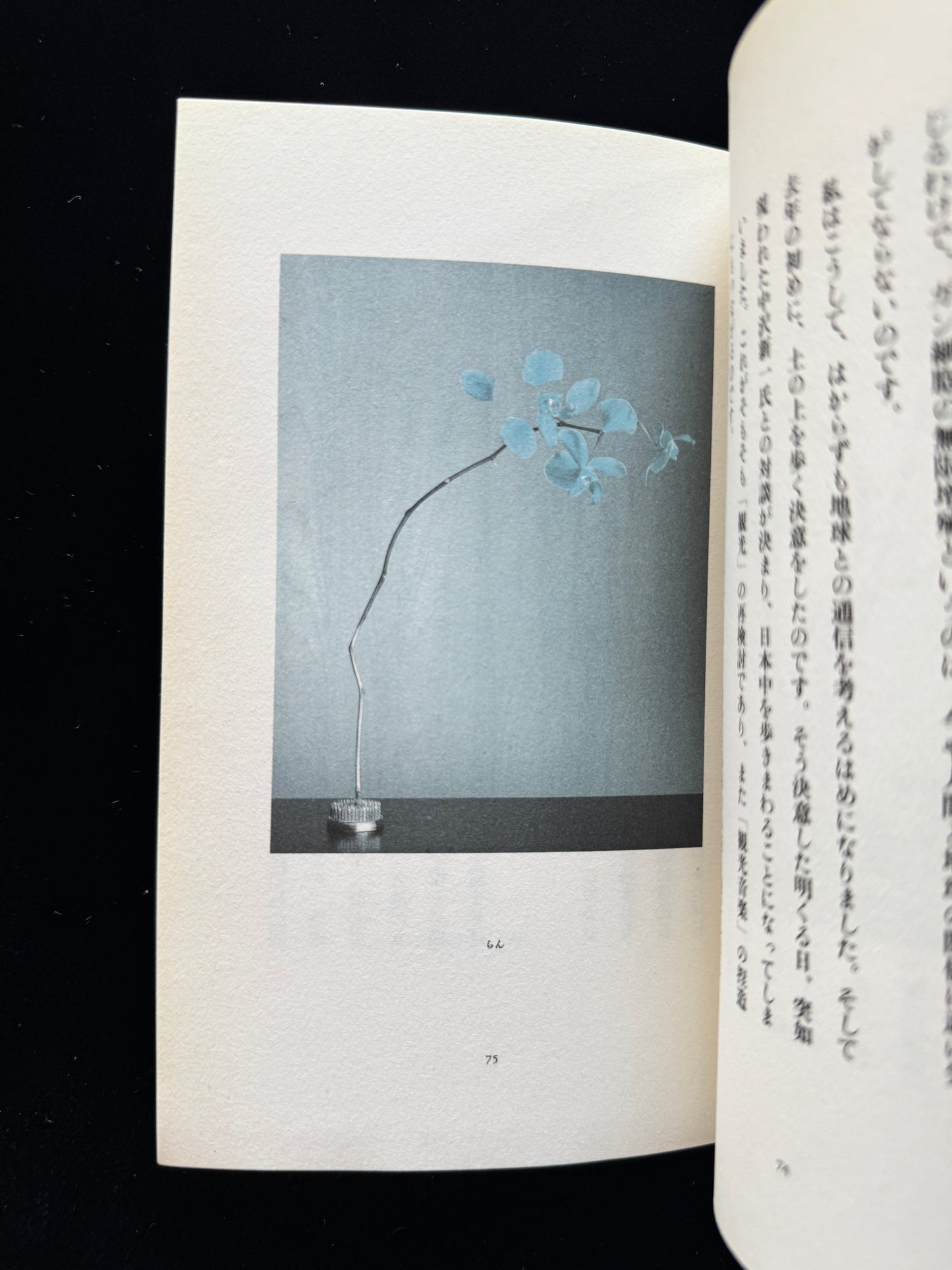 Hana ni Mizu (Water the flowers)  cassette book