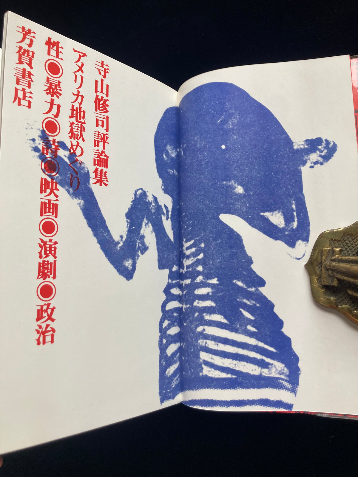 Collected Critical Essays by Shuji Terayama
A Tour of Hell in America