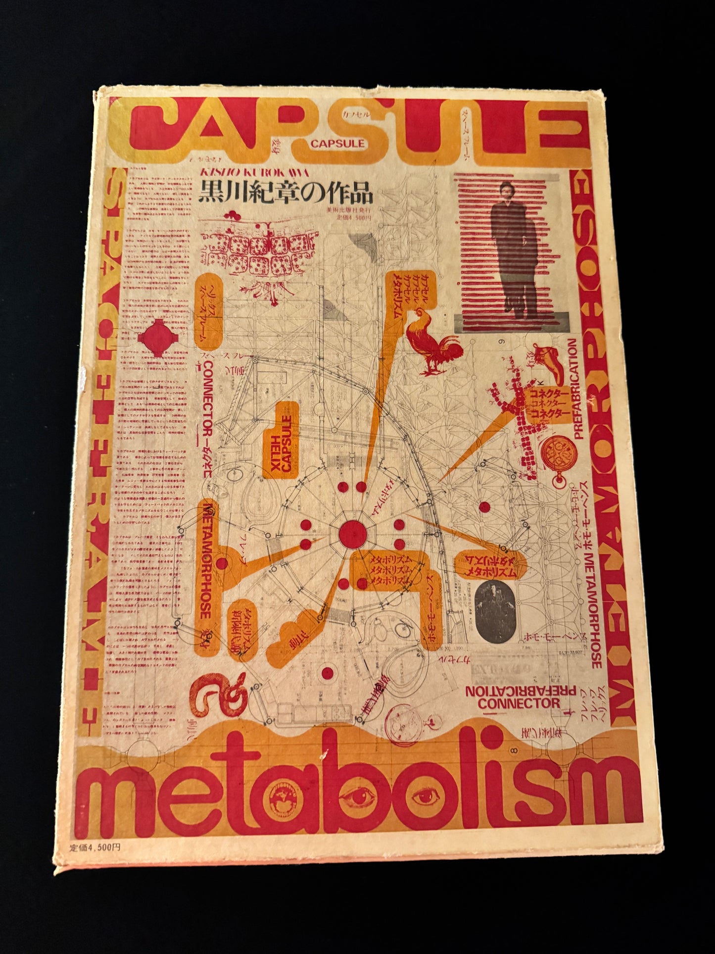 CAPSULE metabolism