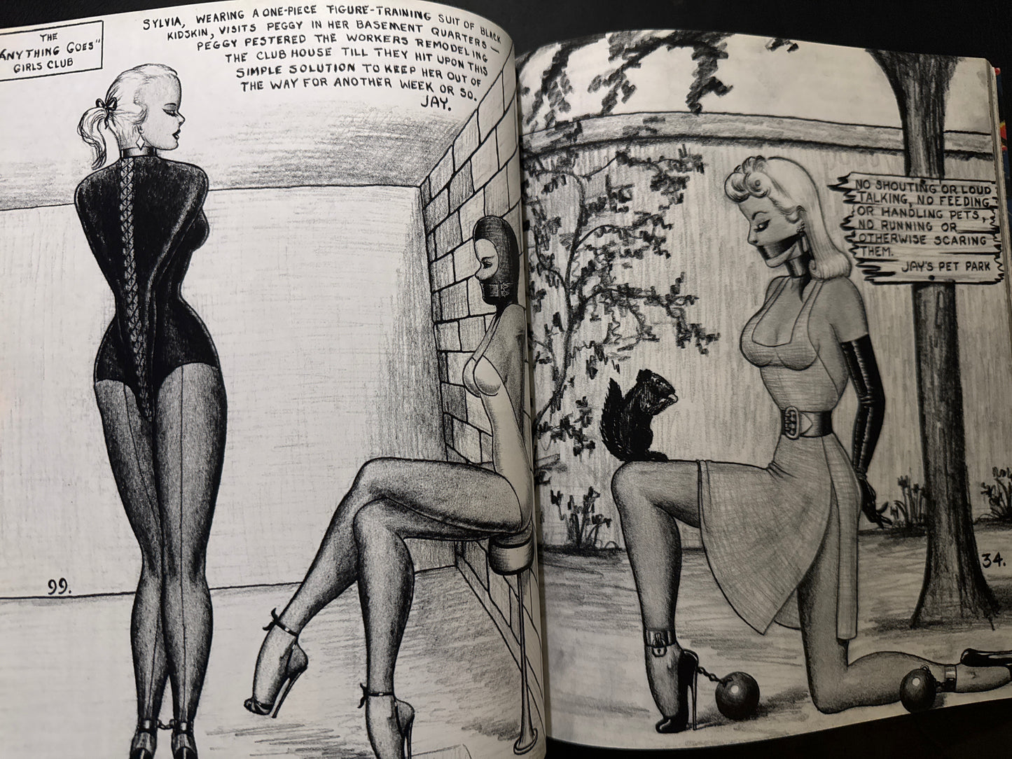 BONDAGE FANTASY