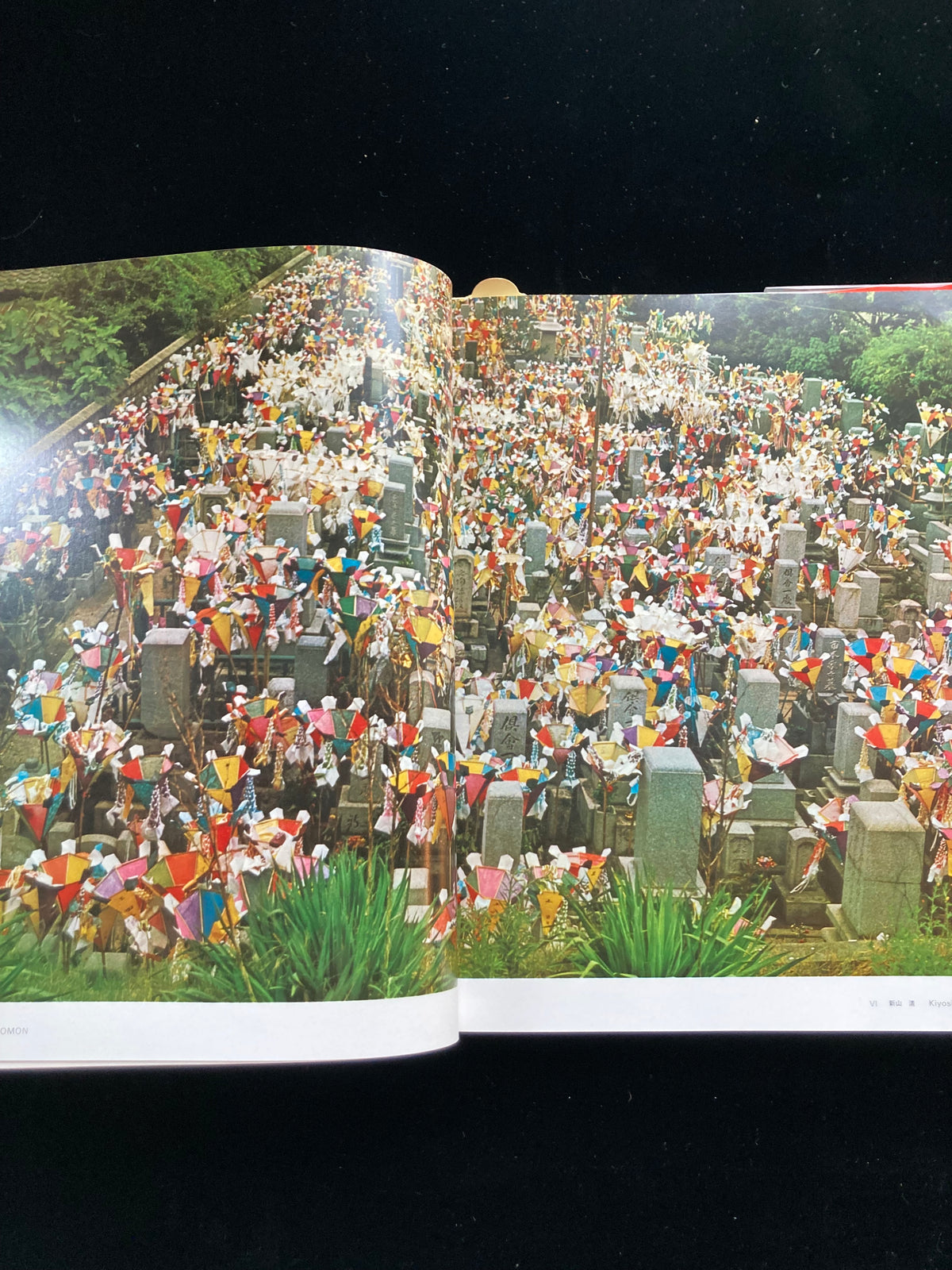 photography of the world '69
