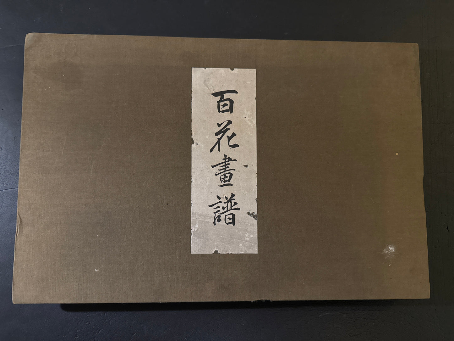 Hyakka: An Illustrated Collection of a Hundred Flowers