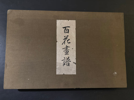 Hyakka: An Illustrated Collection of a Hundred Flowers