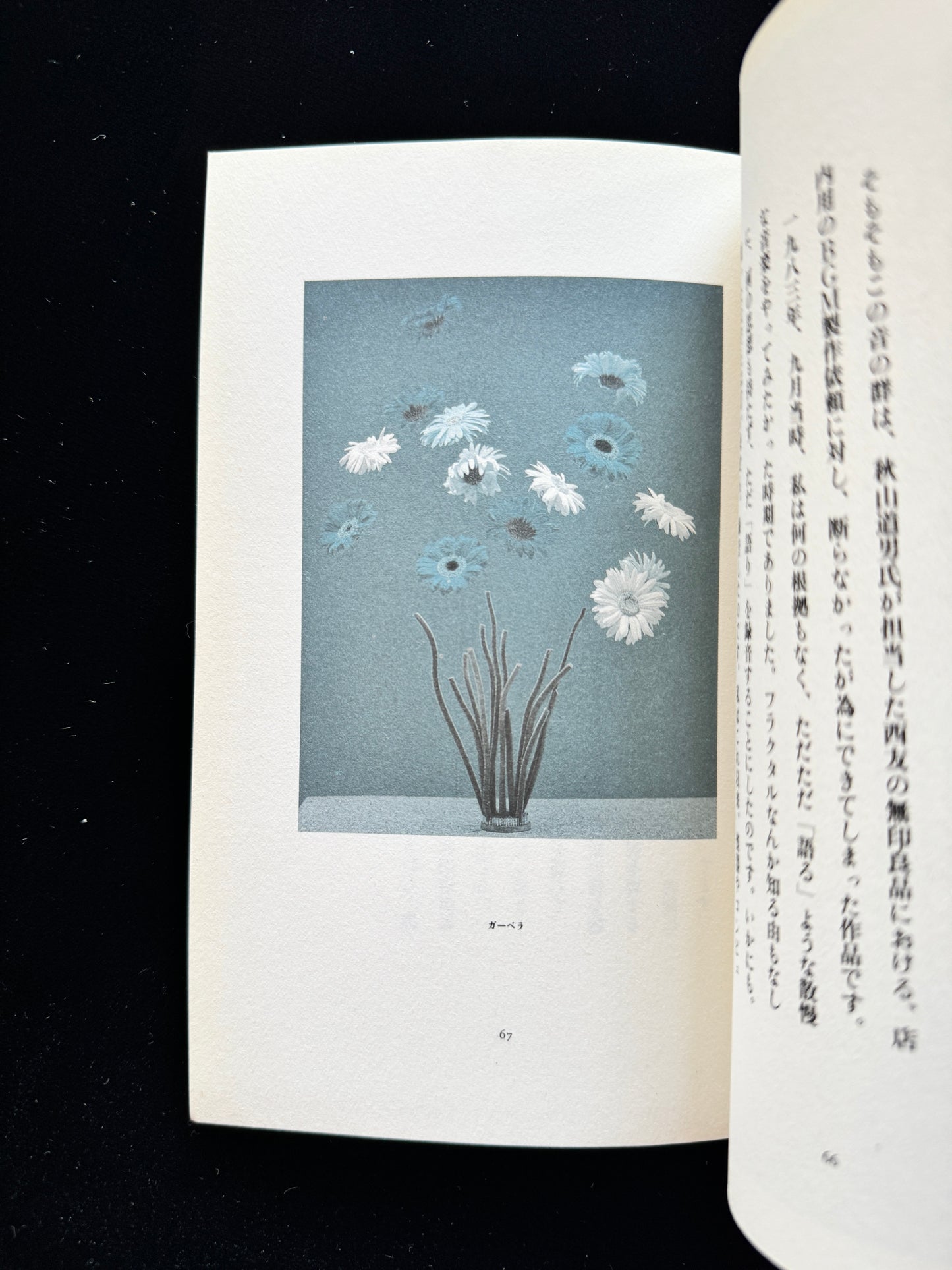 Hana ni Mizu (Water the flowers)  cassette book