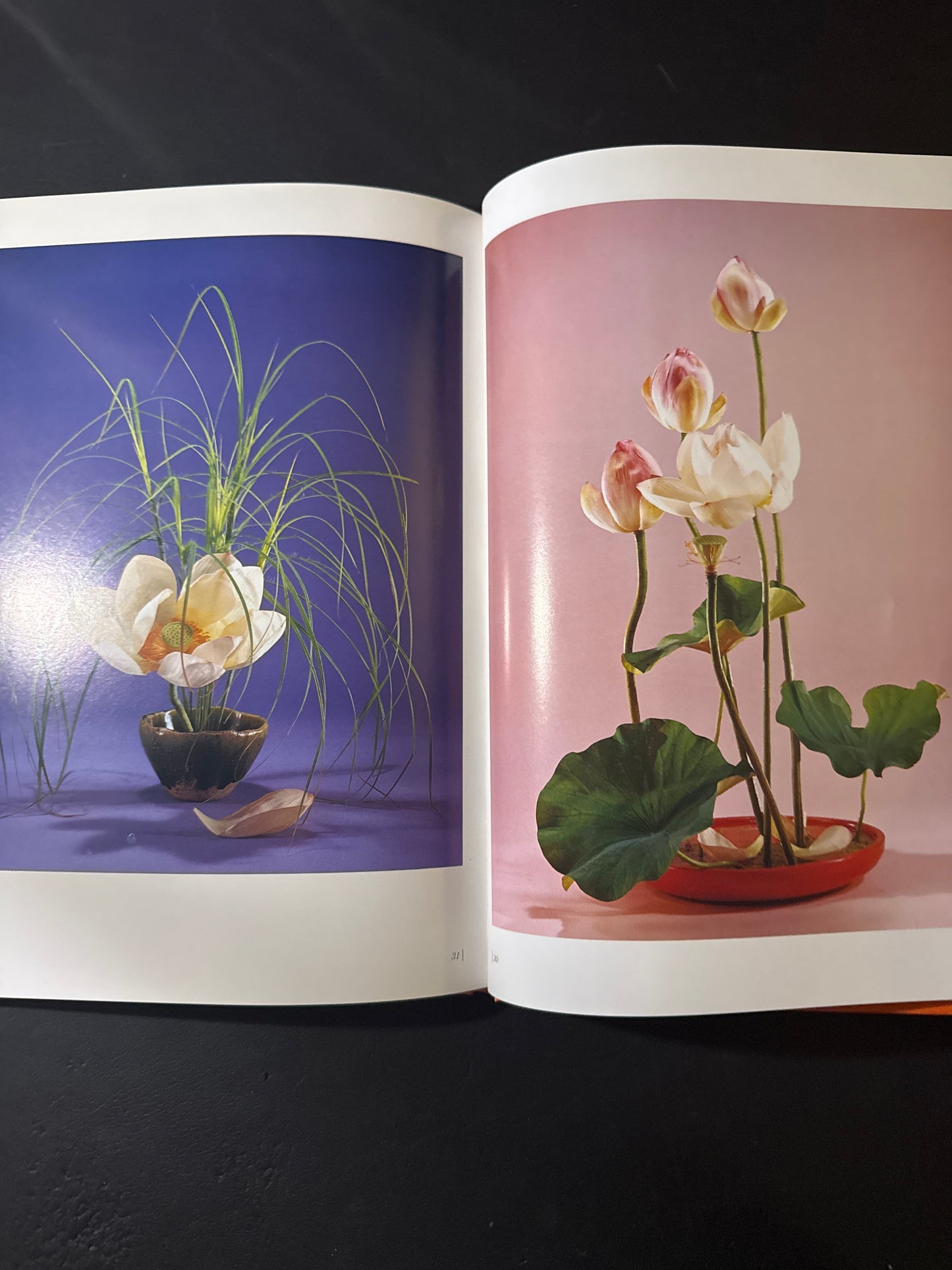 Sofu Teshigawara Ikebana 5 vol. complete set