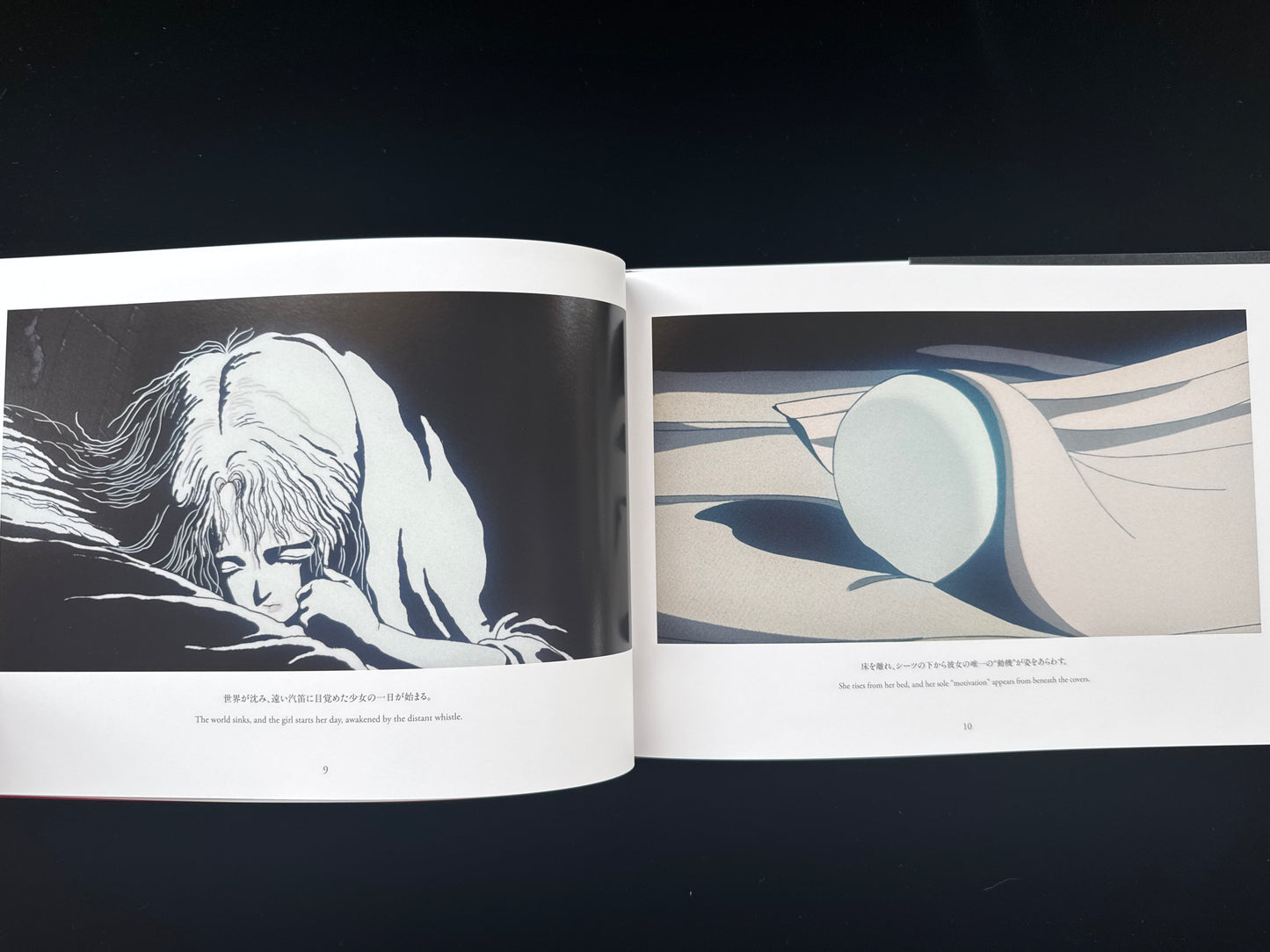Angel's Egg THE VISUAL COLLECTION