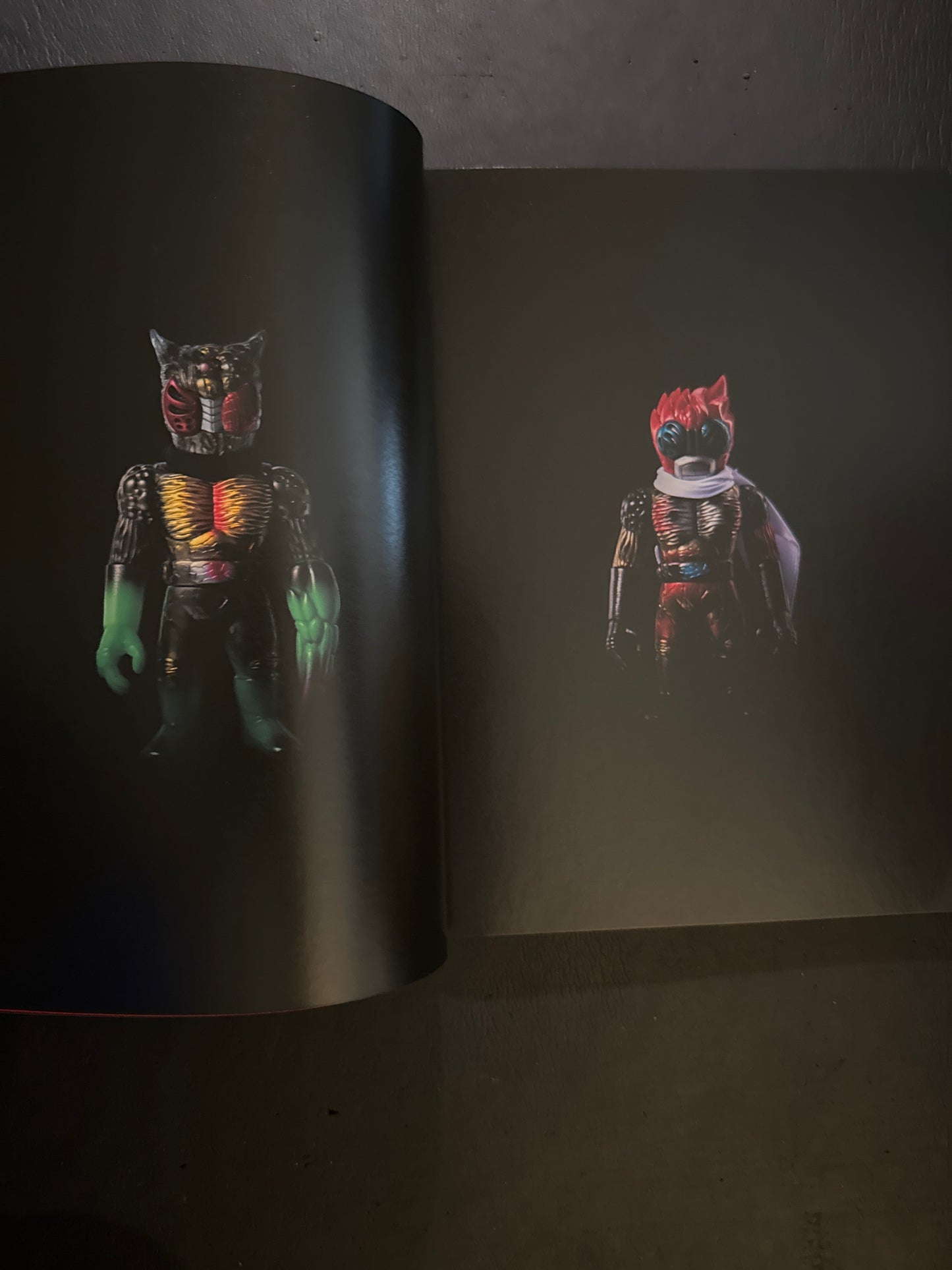 Real Head Photography