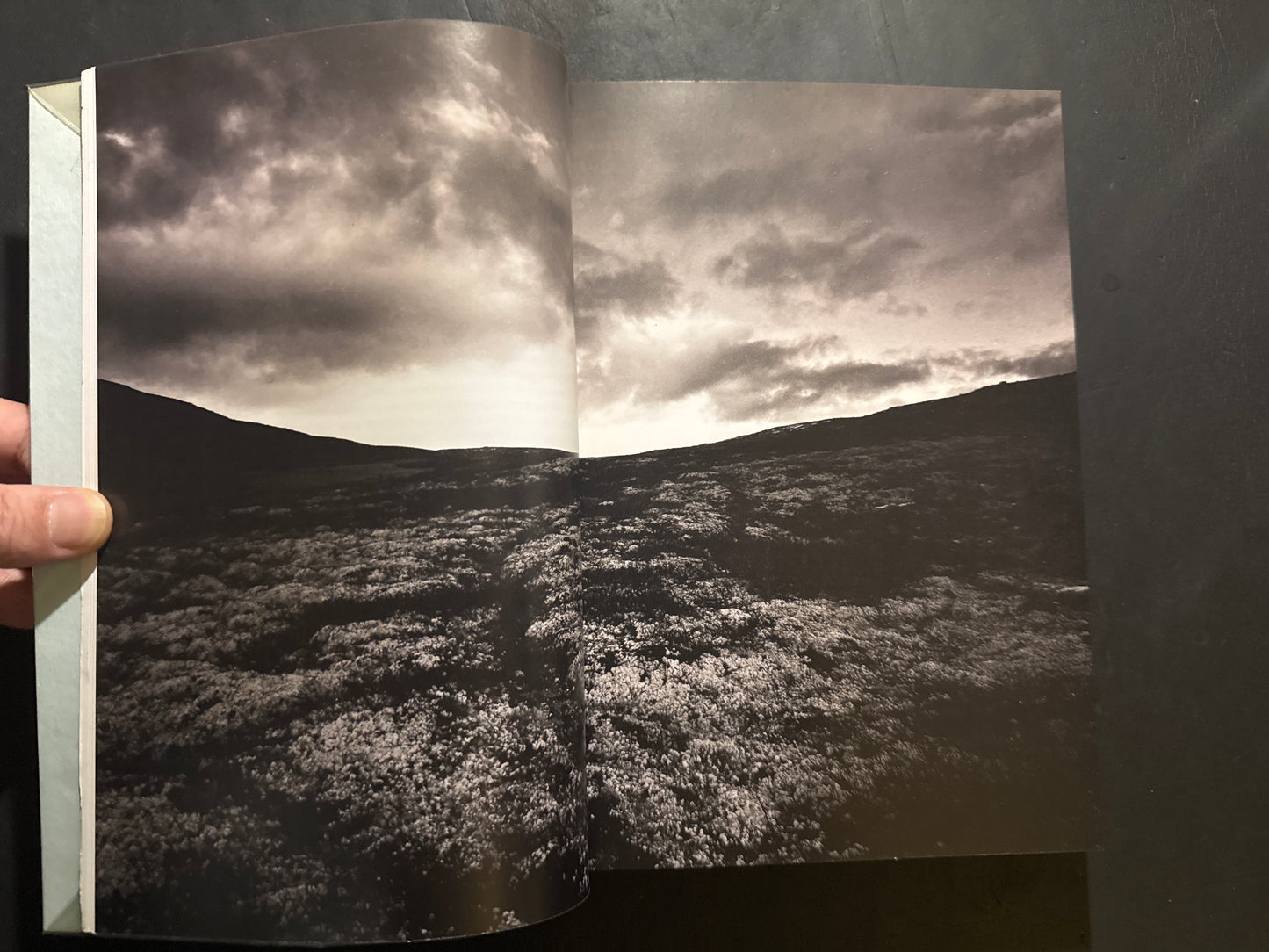 ECM Sleeves of Desire