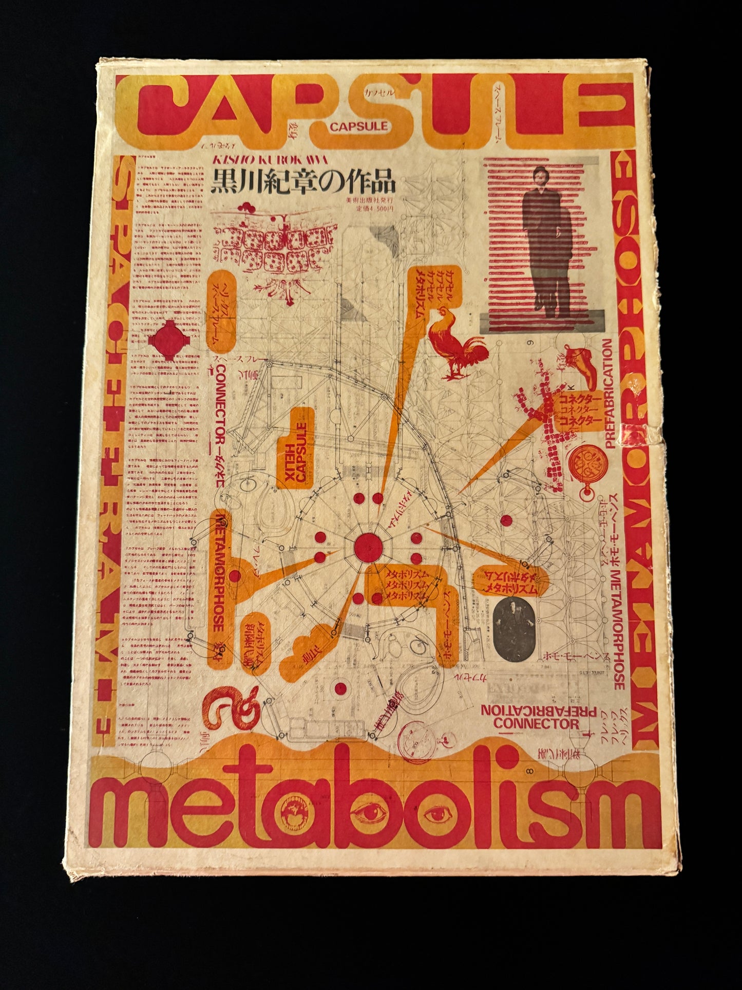 CAPSULE metabolism
