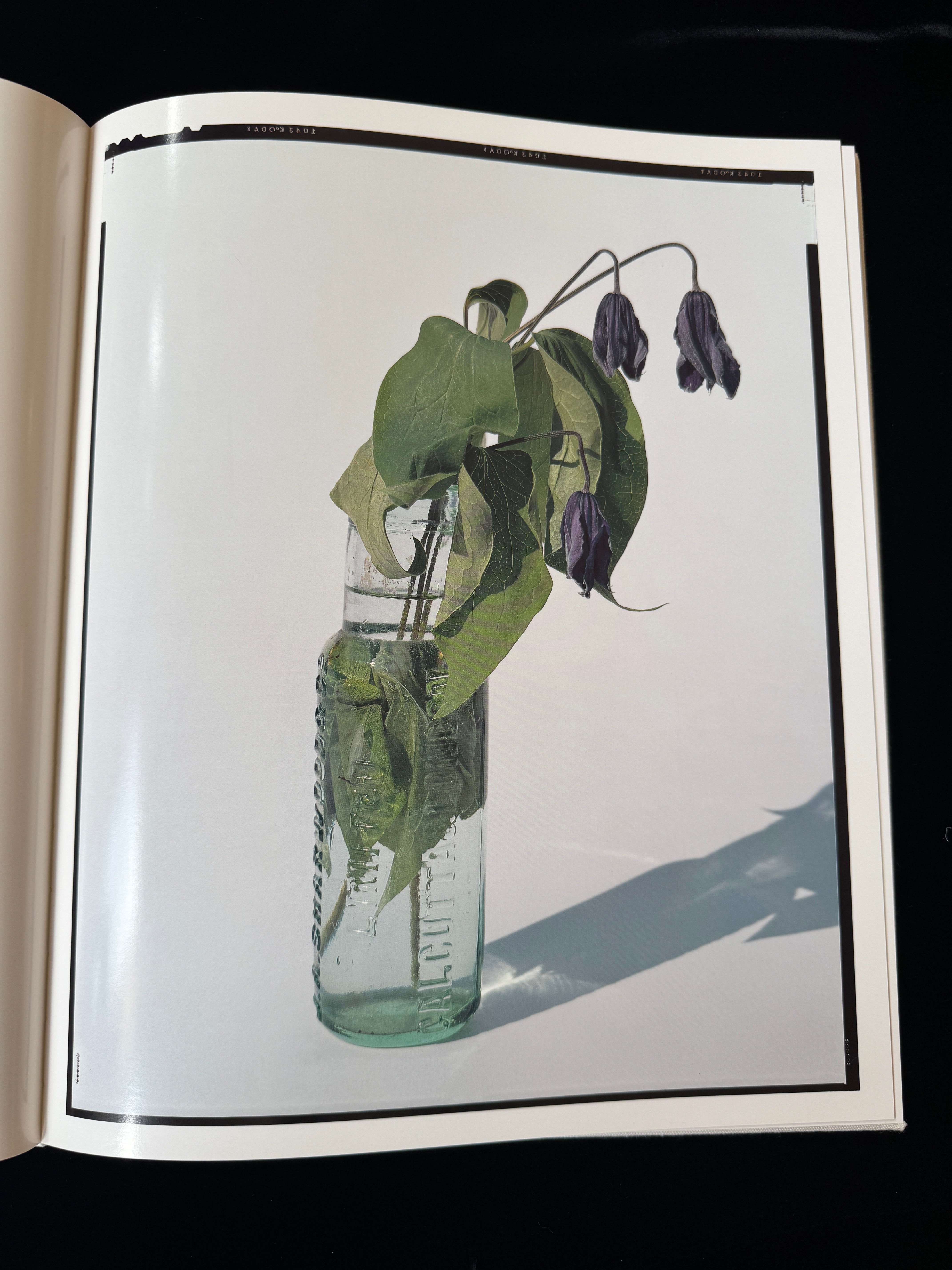 アート・デザイン・音楽 Yoshihiko Ueda: FLOWERS YOSHIHIKO UEDA : FLOWERS – JAPANESE AVANT-GARDE BOOKS