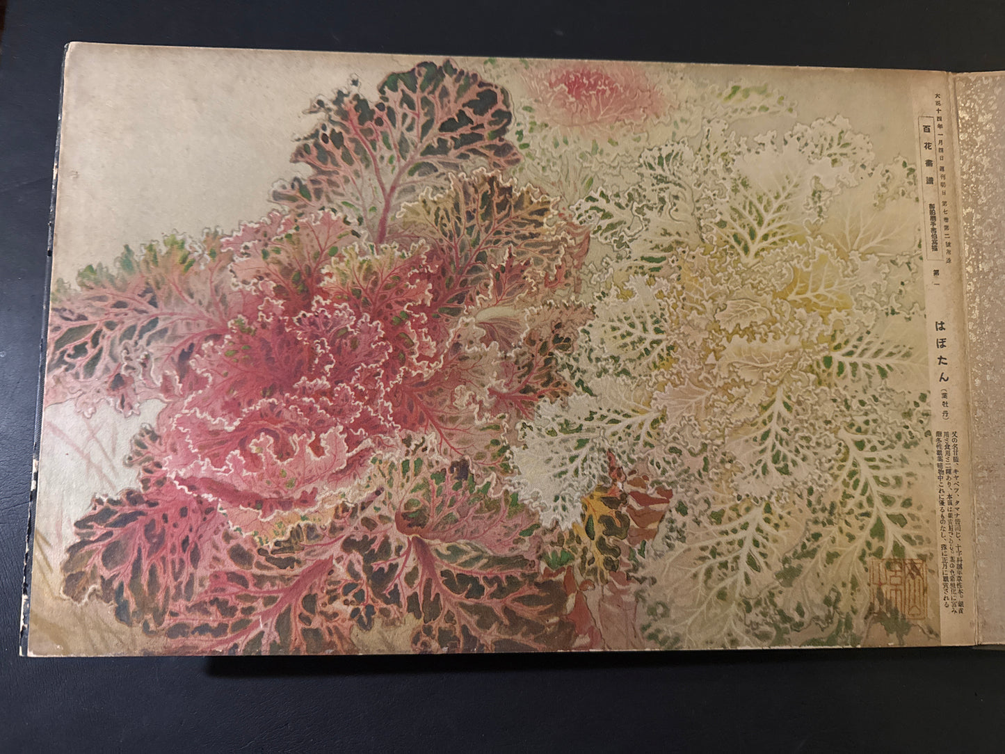 Hyakka: An Illustrated Collection of a Hundred Flowers