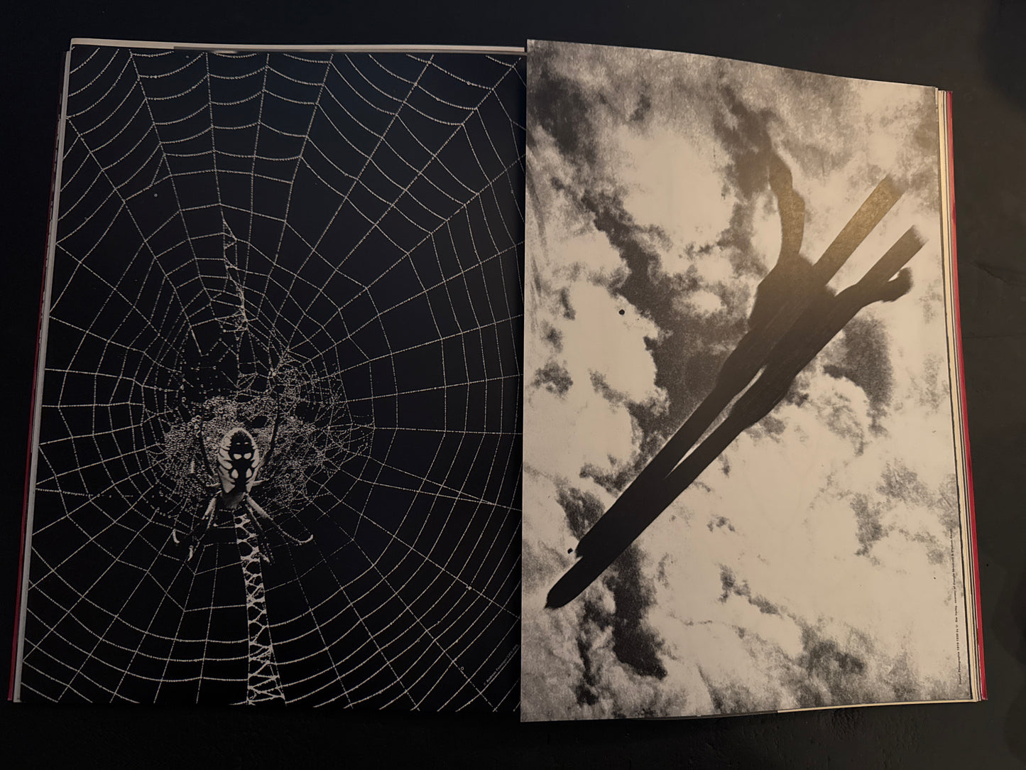 Six :  8 volume complete set