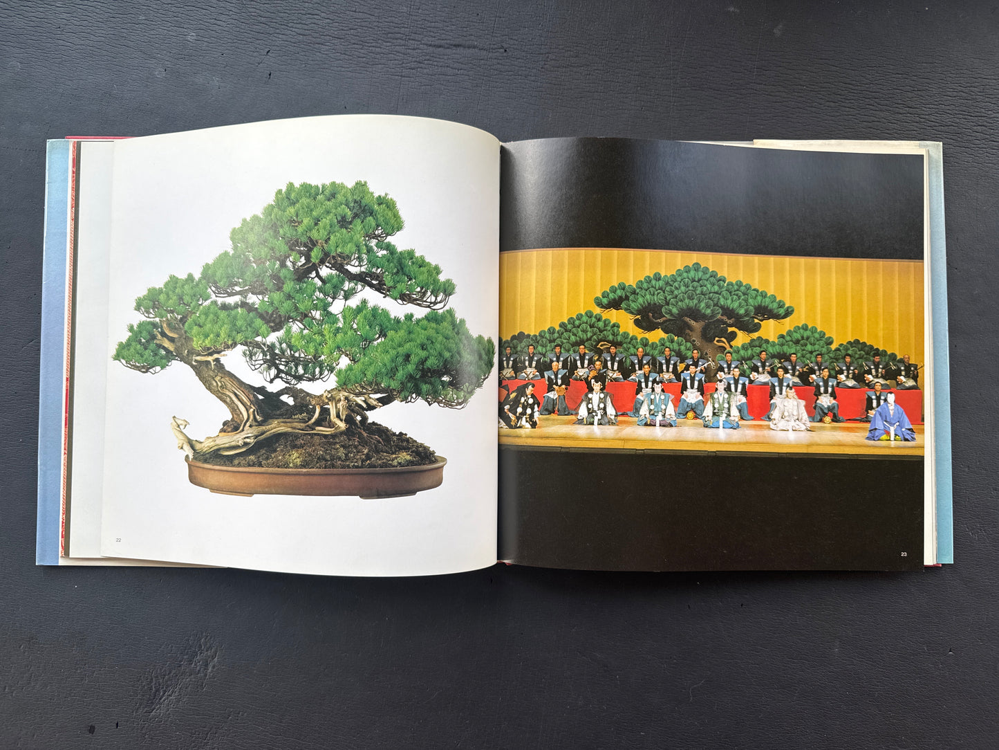 JAPANESE COLORING