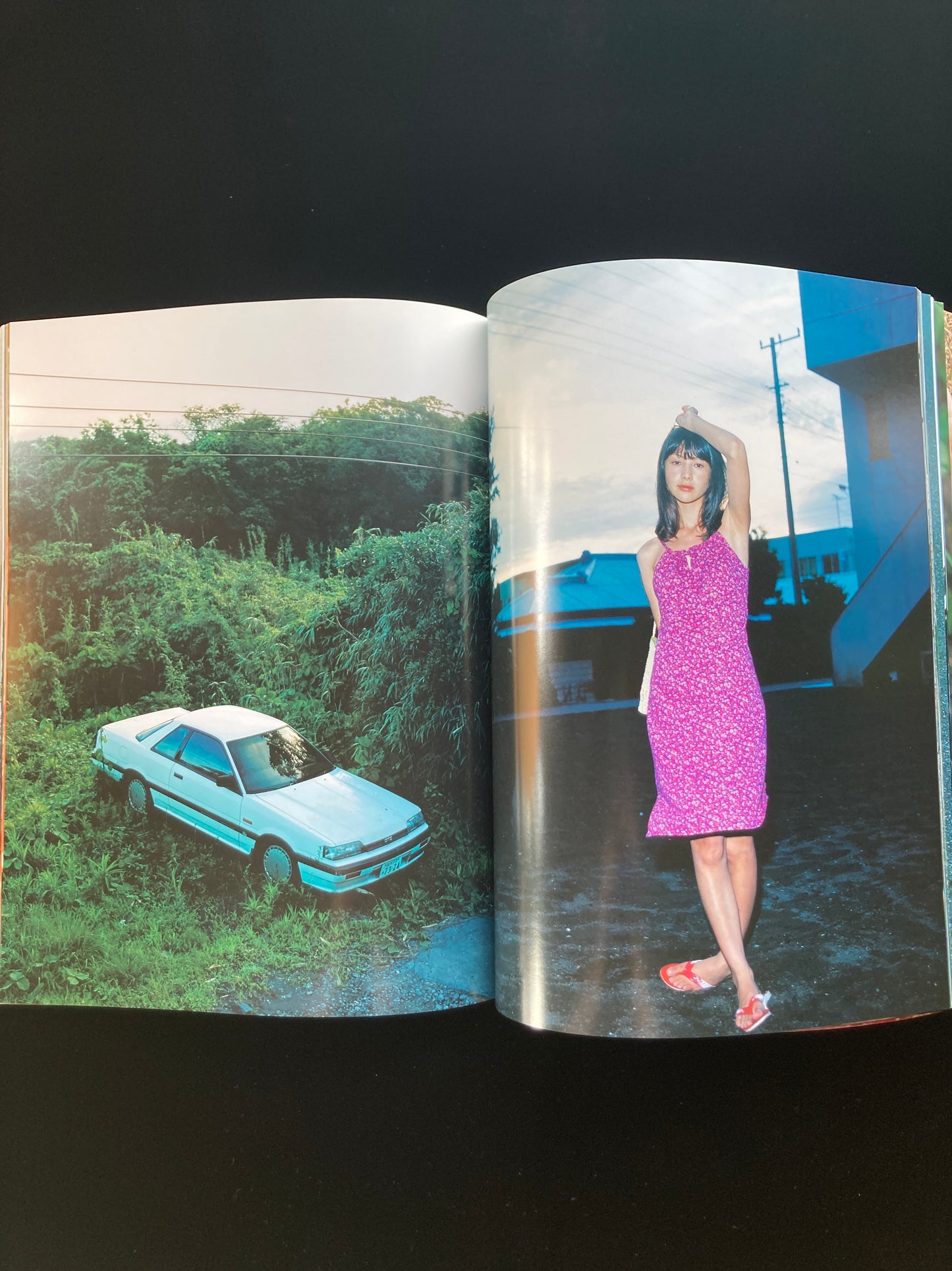 The sun and honey MARIKO TAKAHASHI