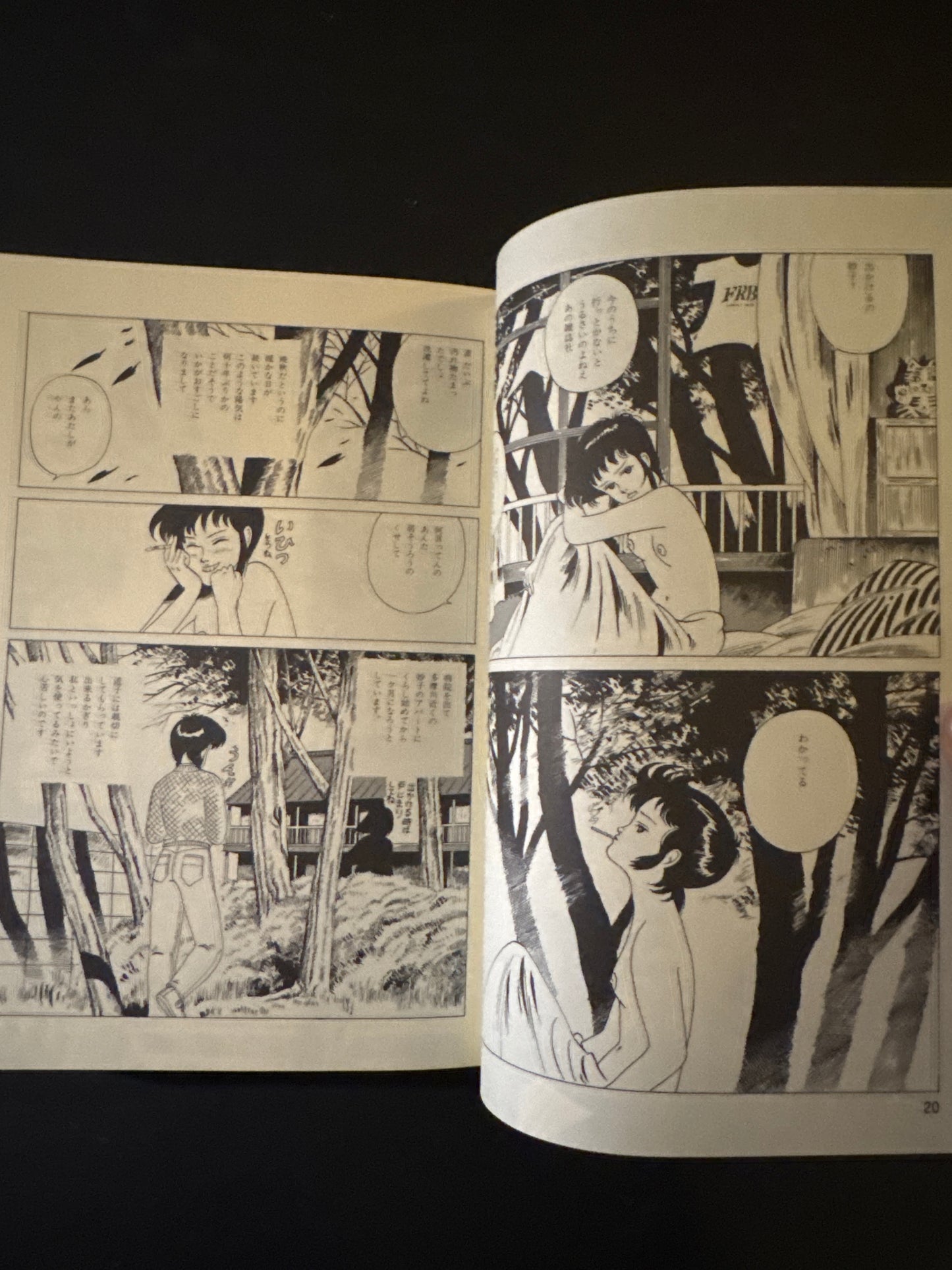 Thoughts on the Chocolate Sphinx