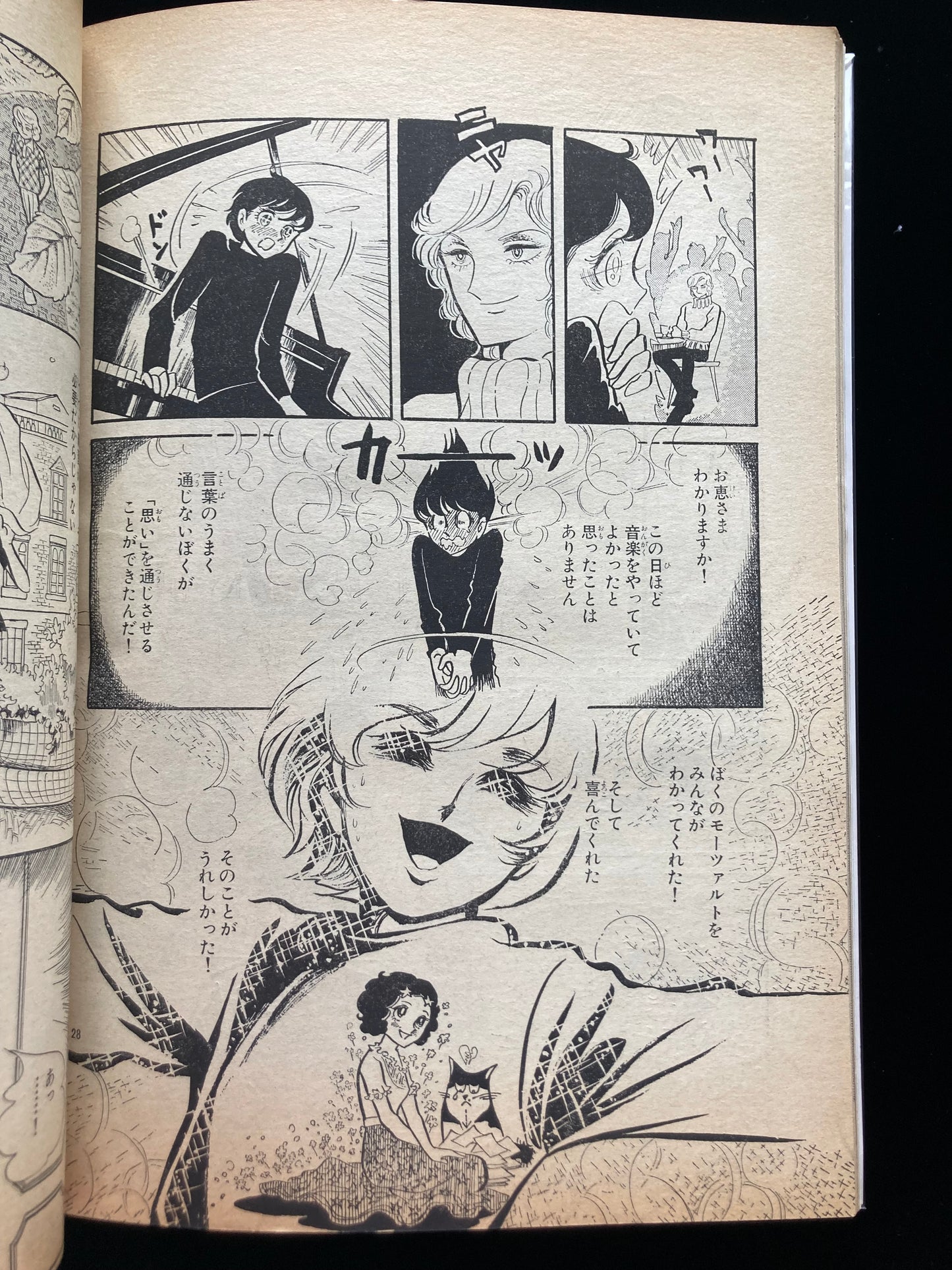 "Flower Deluxe" Keiko Takemiya illustration book