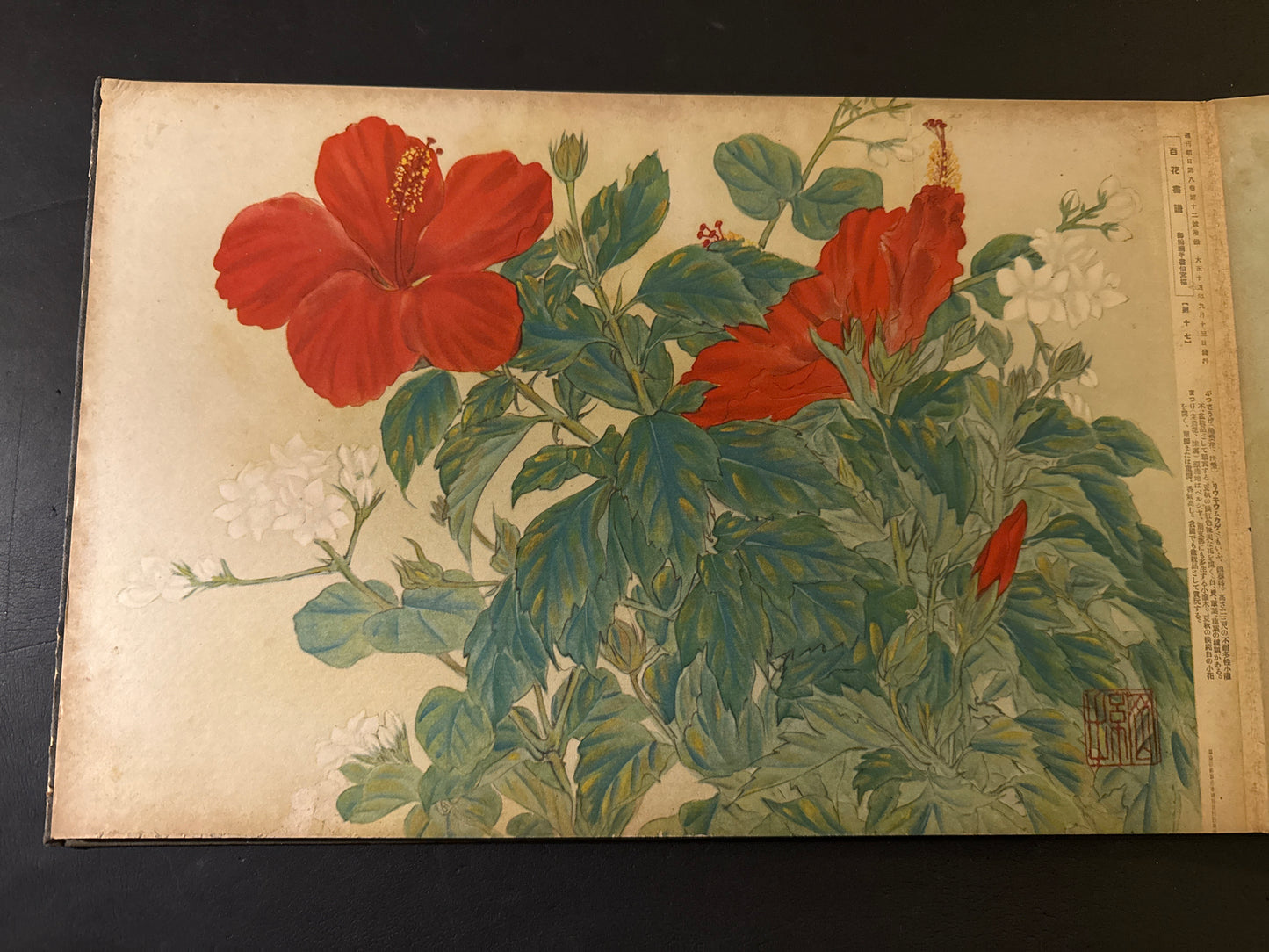 Hyakka: An Illustrated Collection of a Hundred Flowers