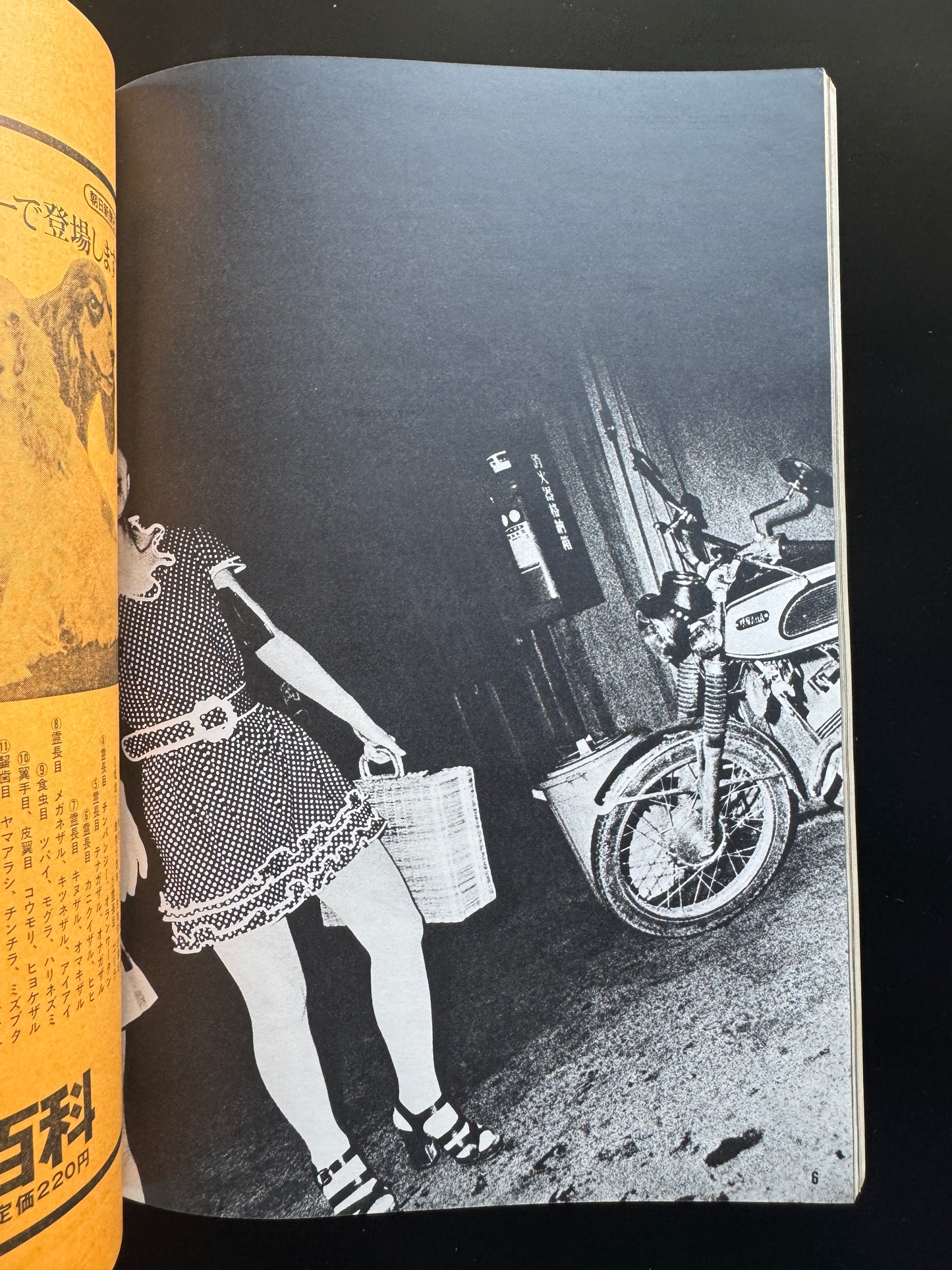 ASAHI CAMERA 1971 complete set