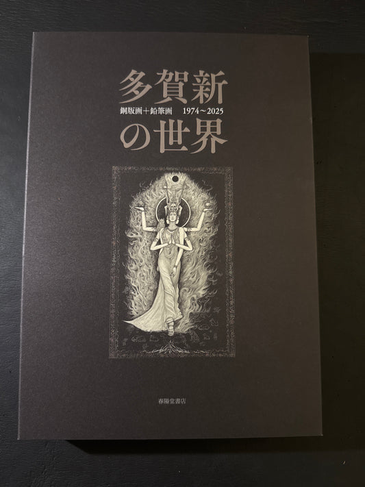 The World of Shin Taga