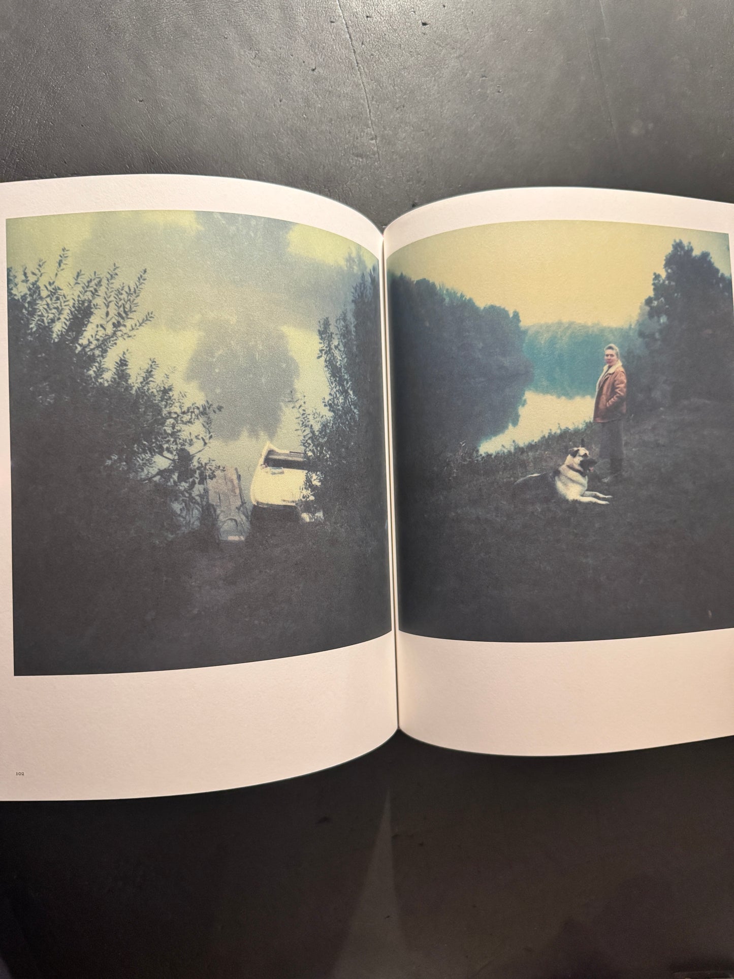 Bright, Bright Day (Russian edition)