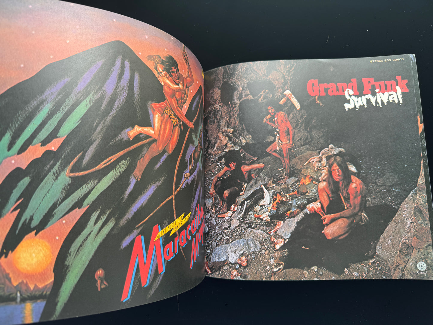 Genesis: A Collection of Record Covers
