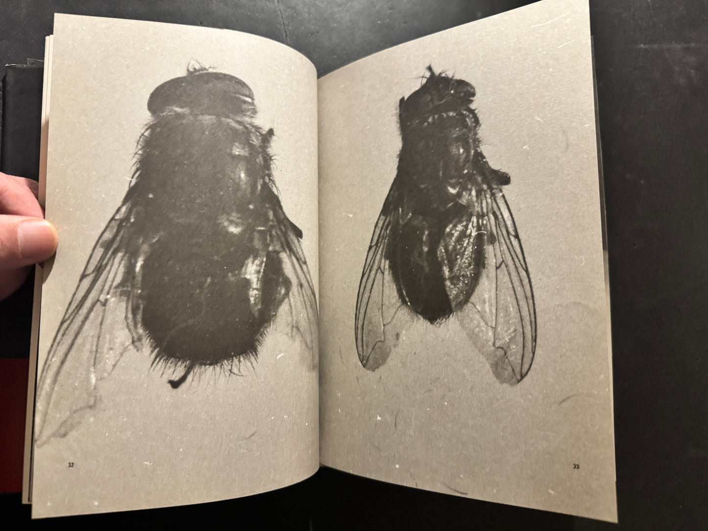 DAVID LYNCH PAINTINGS / DRAWINGS