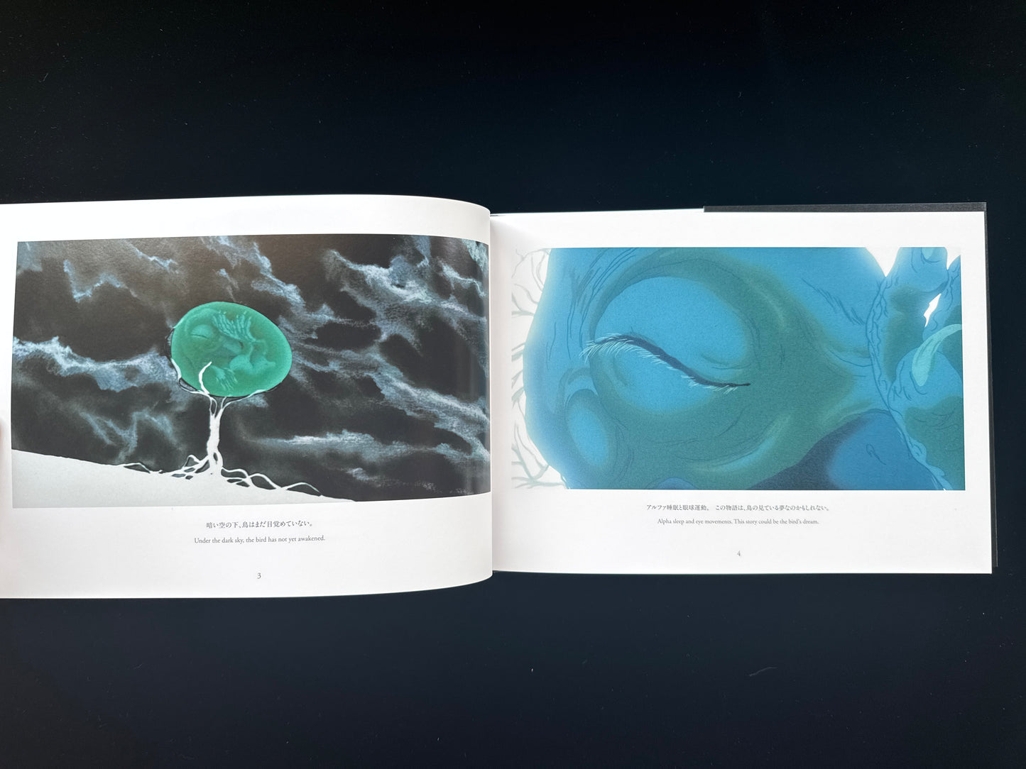 Angel's Egg THE VISUAL COLLECTION