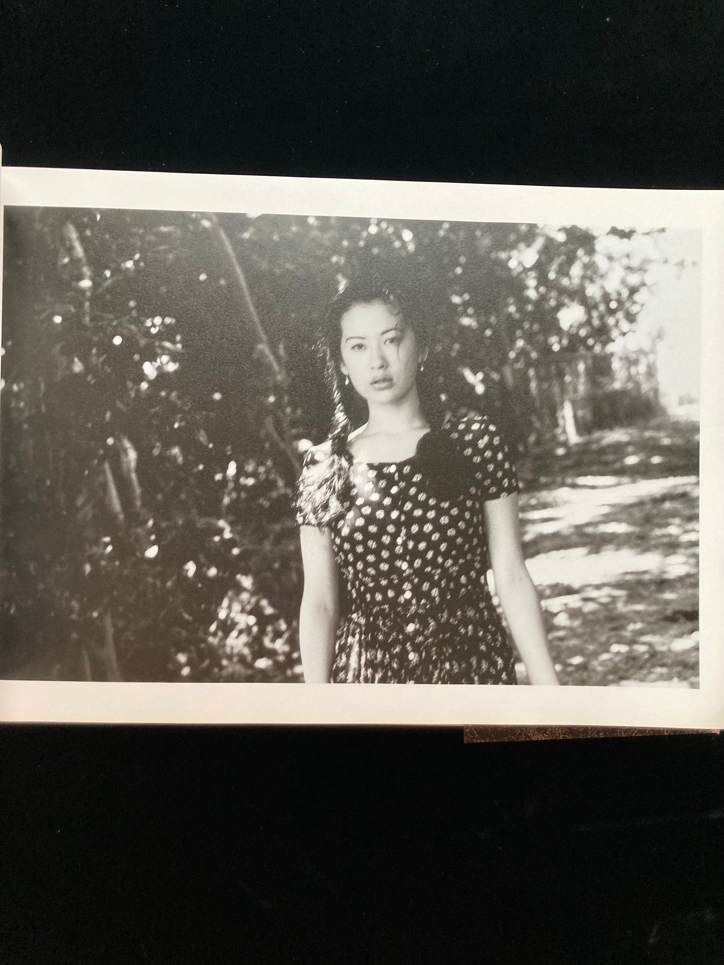 "Sawa" Nobuyoshi Aqaki CINEPHOTOGRAPH